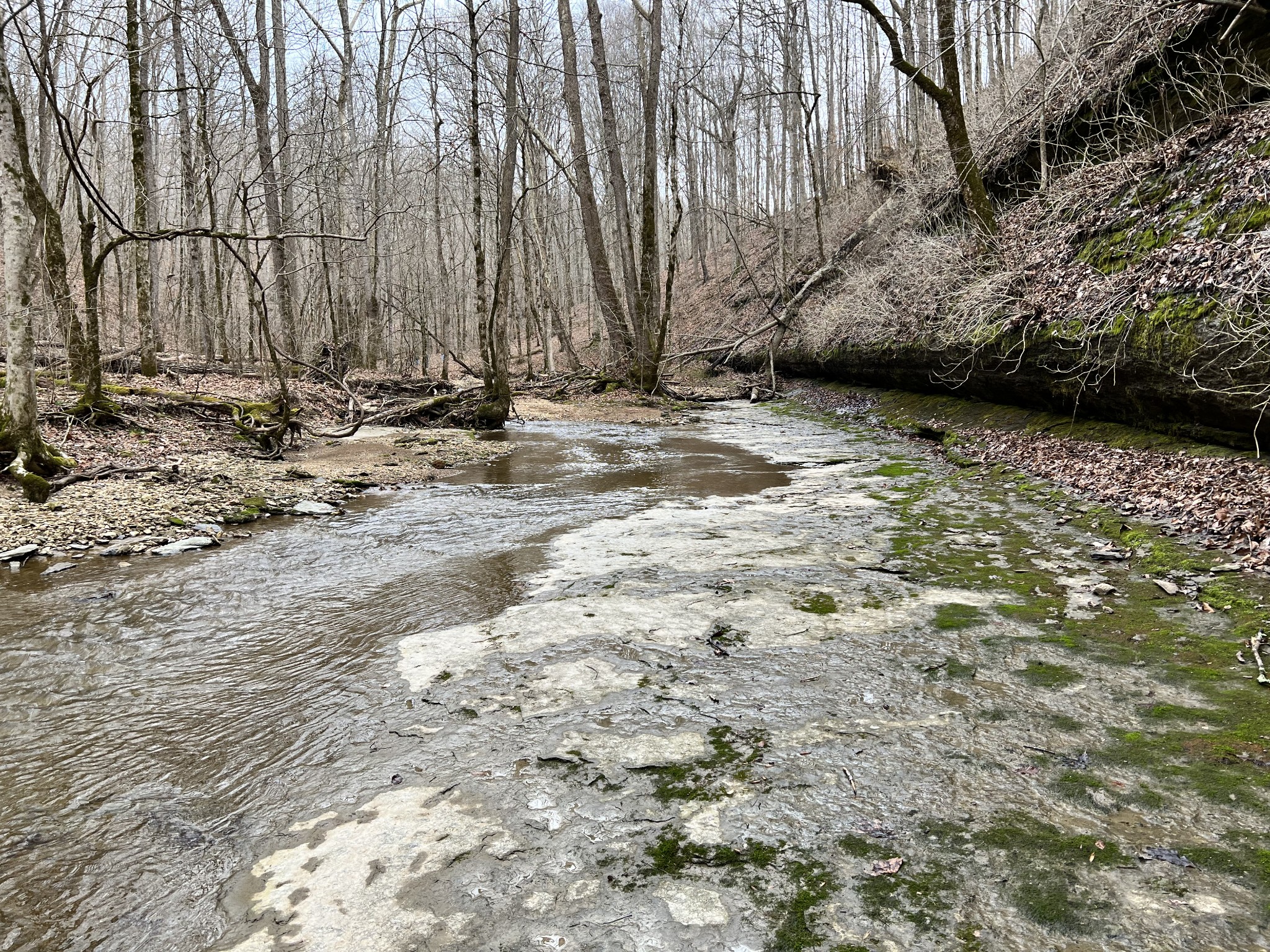 1911 Smalling Road Lafayette, TN 37083 - Photo 18 of 60