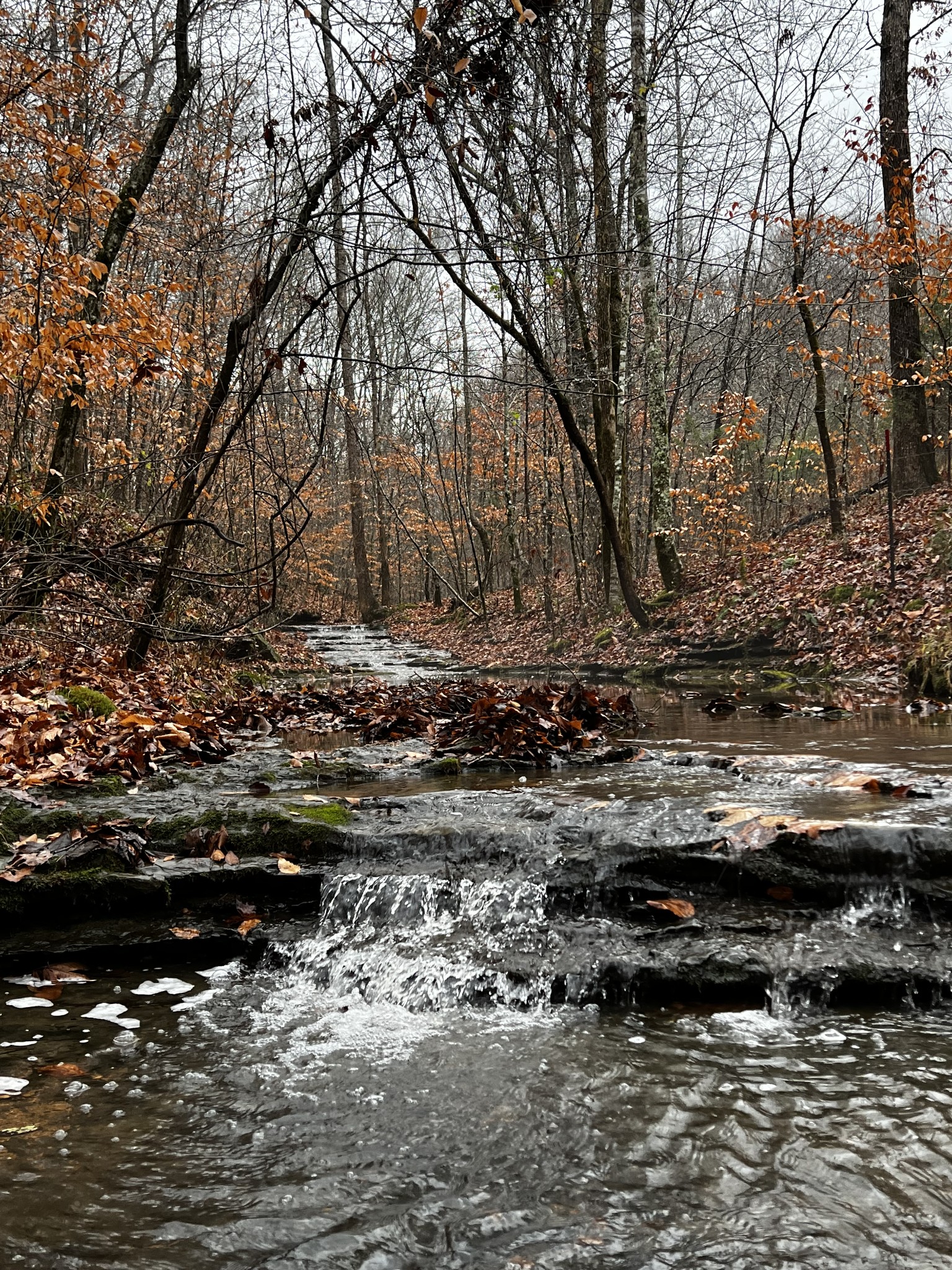 1911 Smalling Road Lafayette, TN 37083 - Photo 2 of 60