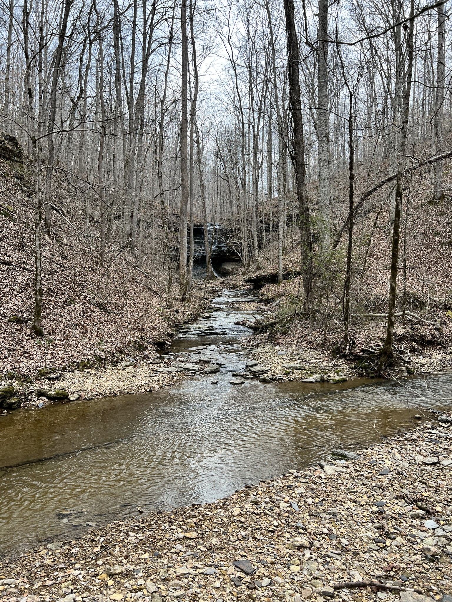 1911 Smalling Road Lafayette, TN 37083 - Photo 21 of 60