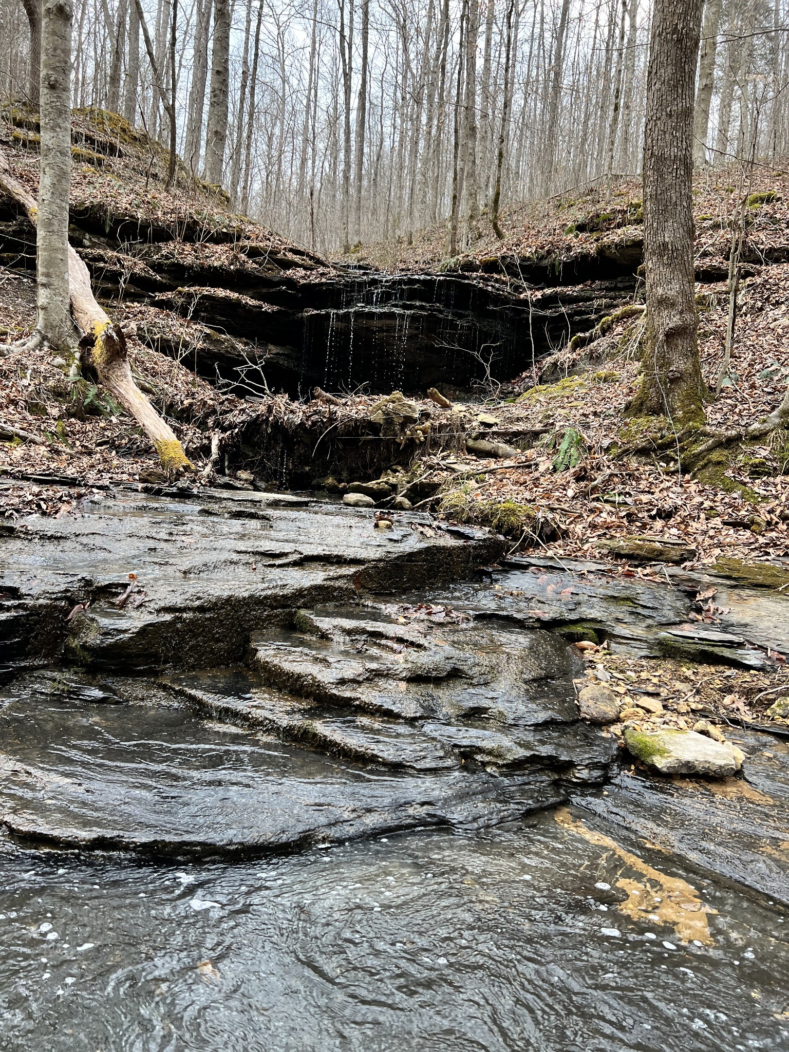 1911 Smalling Road Lafayette, TN 37083 - Photo 22 of 60 a view of a road with an outdoor space