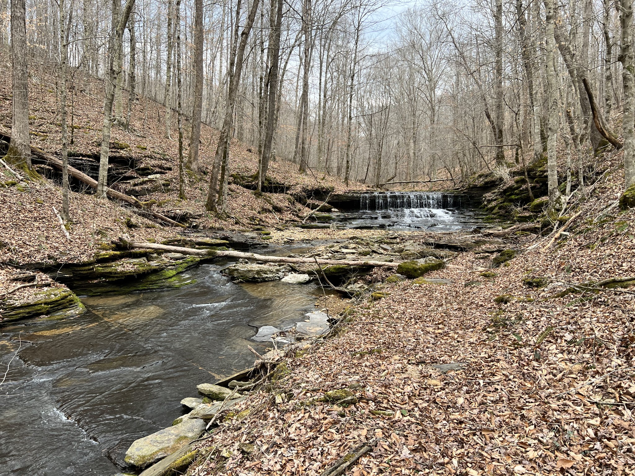 1911 Smalling Road Lafayette, TN 37083 - Photo 23 of 60 a view of a road with wooden fence