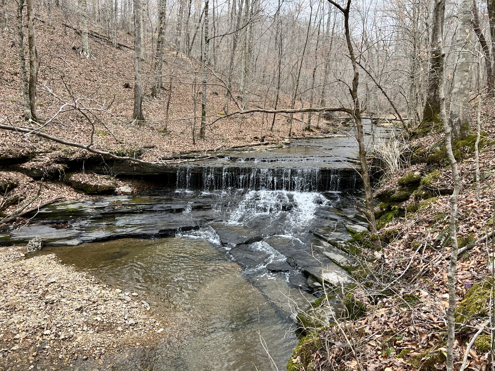 1911 Smalling Road Lafayette, TN 37083 - Photo 25 of 60 a view of swimming pool with outdoor seating