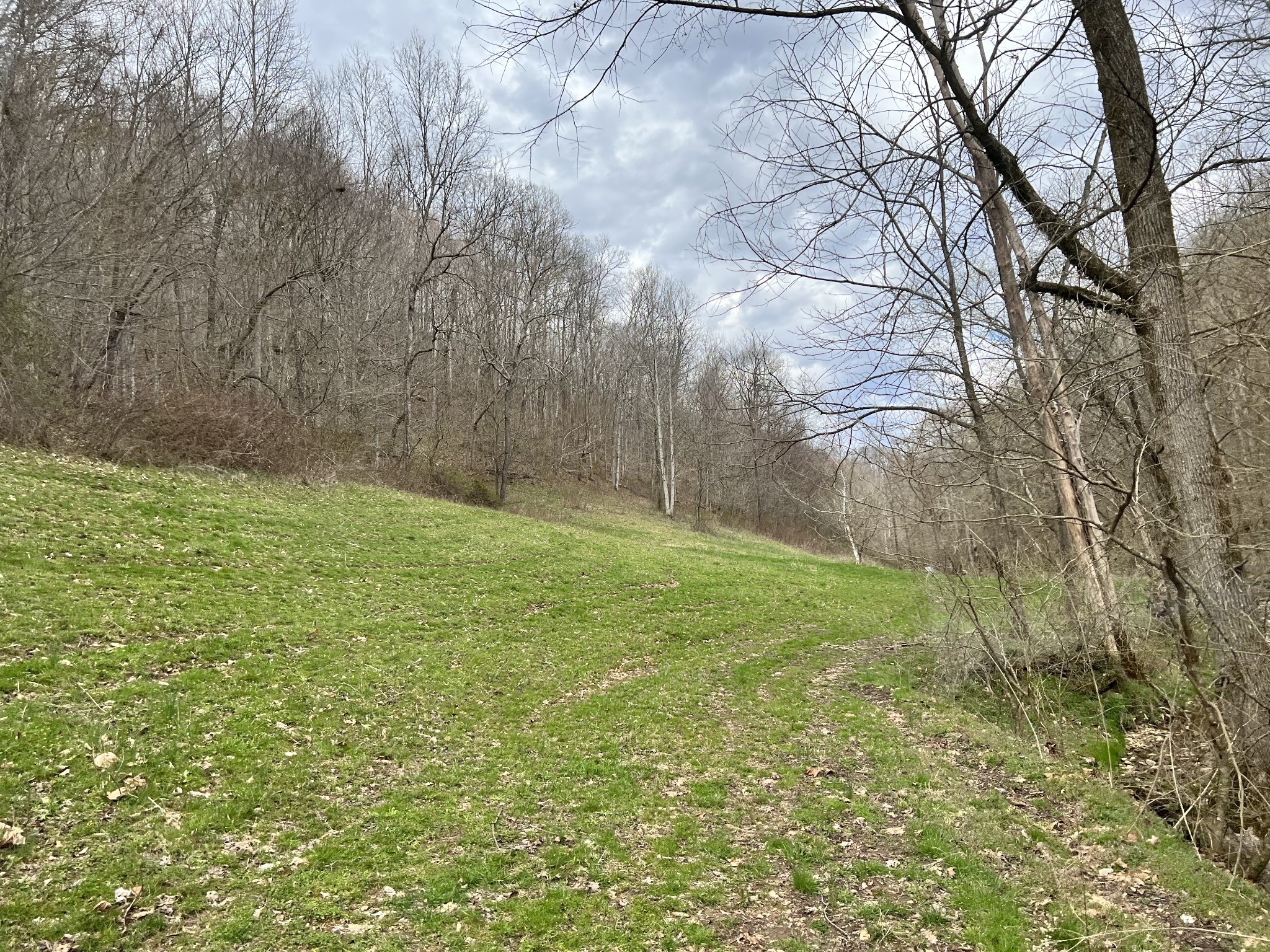 1911 Smalling Road Lafayette, TN 37083 - Photo 29 of 60 a view of yard with green space