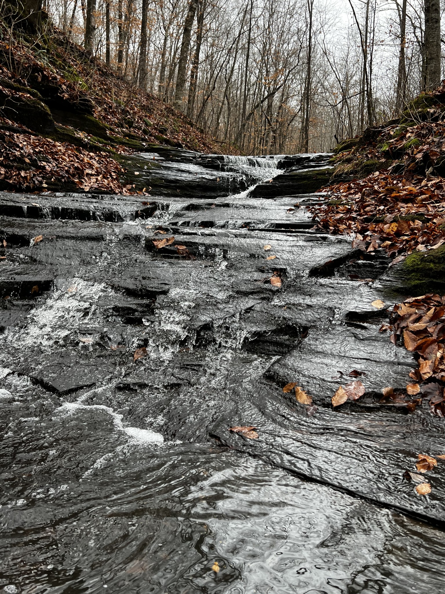 1911 Smalling Road Lafayette, TN 37083 - Photo 30 of 60 a view of outdoor space with outdoor space