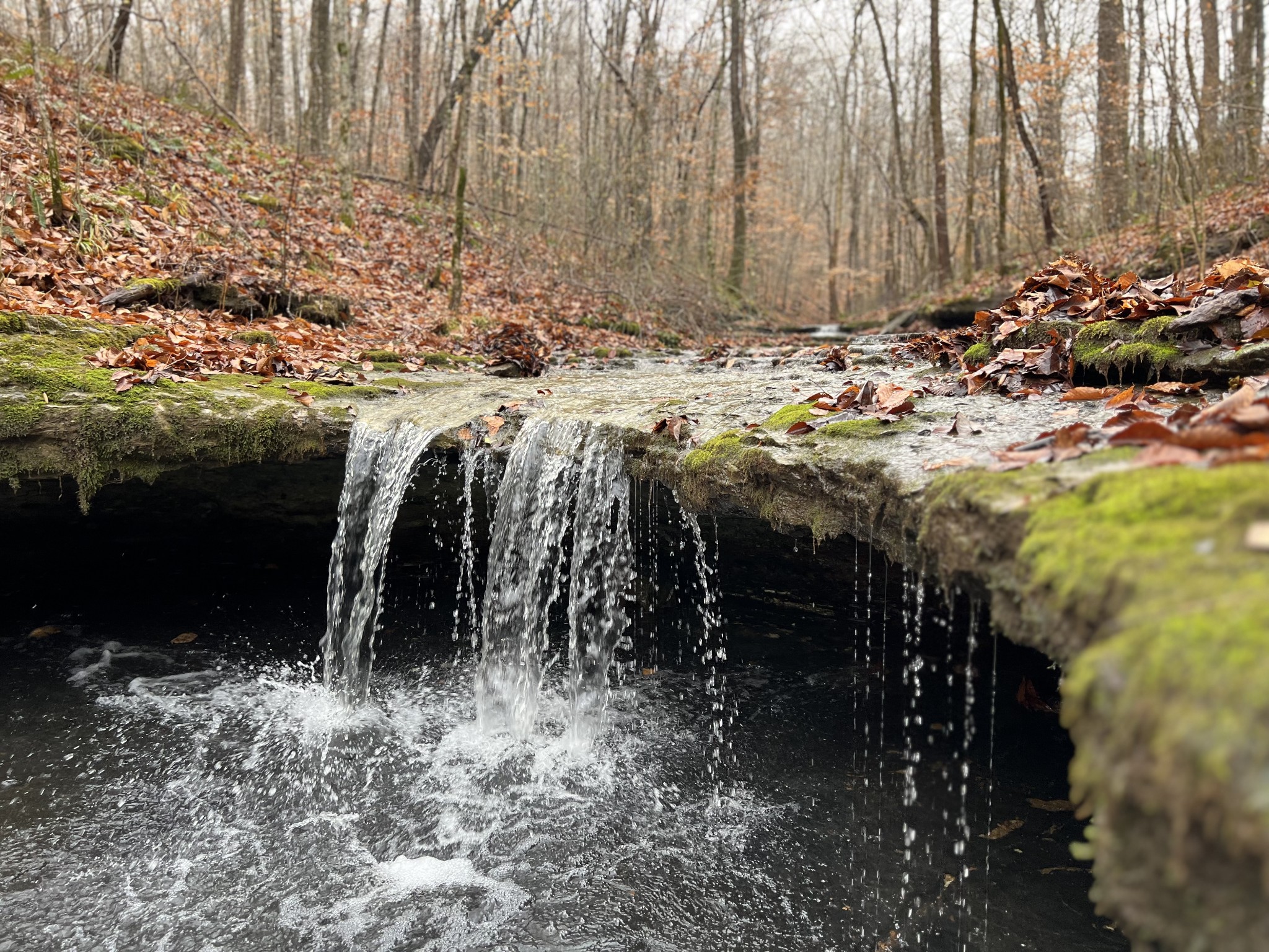 1911 Smalling Road Lafayette, TN 37083 - Photo 31 of 60