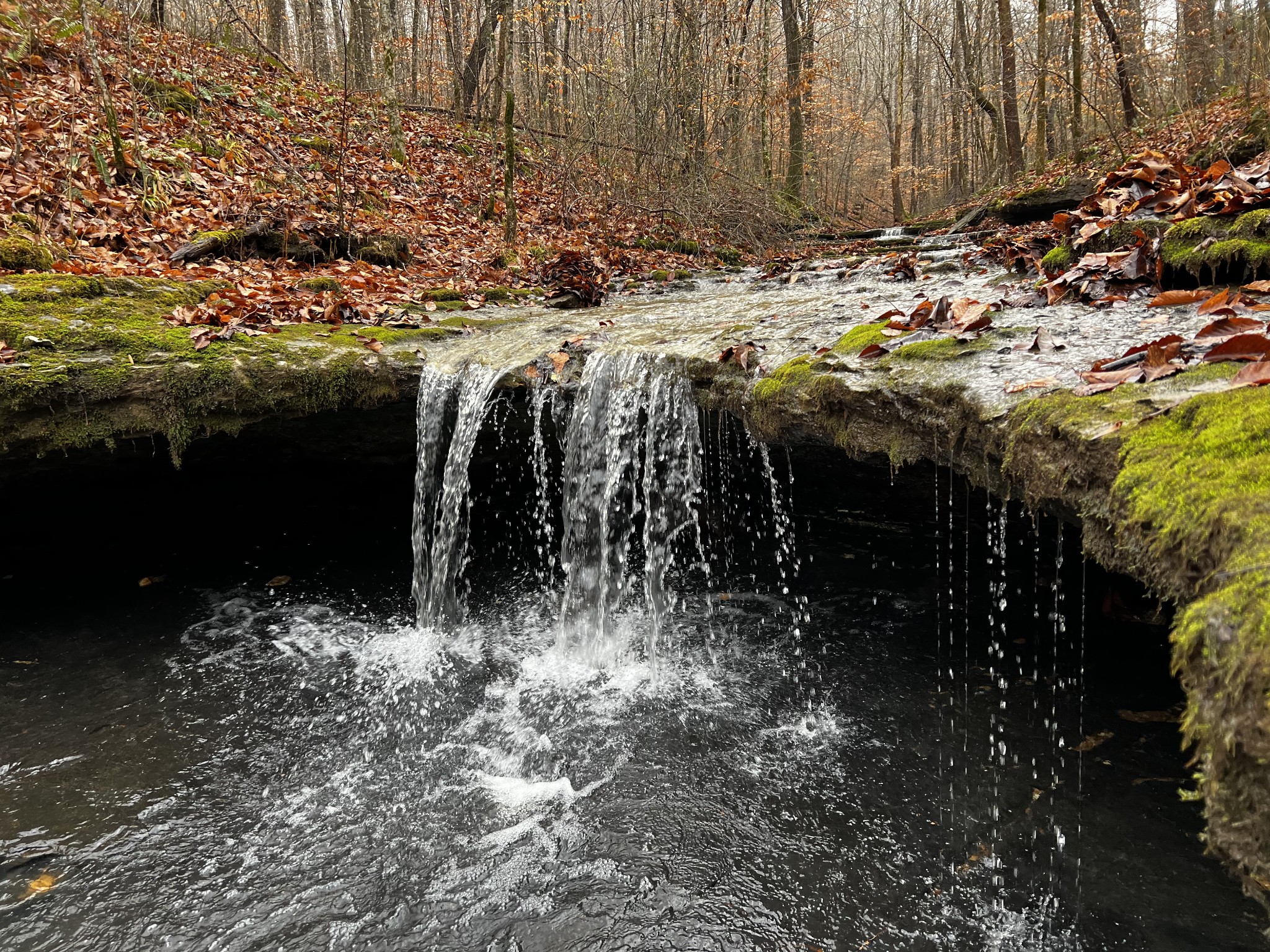 1911 Smalling Road Lafayette, TN 37083 - Photo 32 of 60