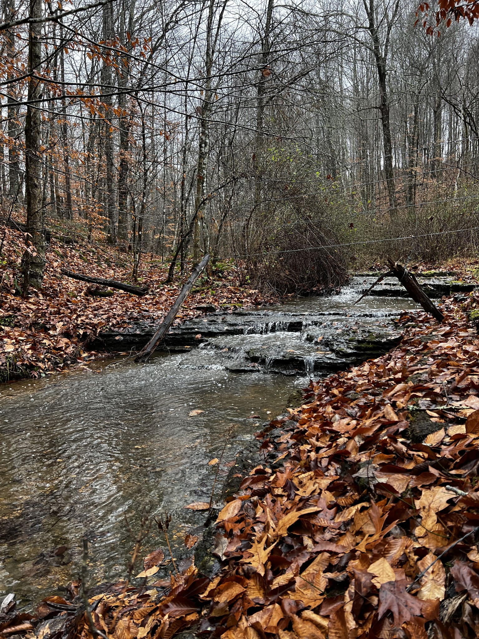 1911 Smalling Road Lafayette, TN 37083 - Photo 34 of 60 a view of a lake with houses
