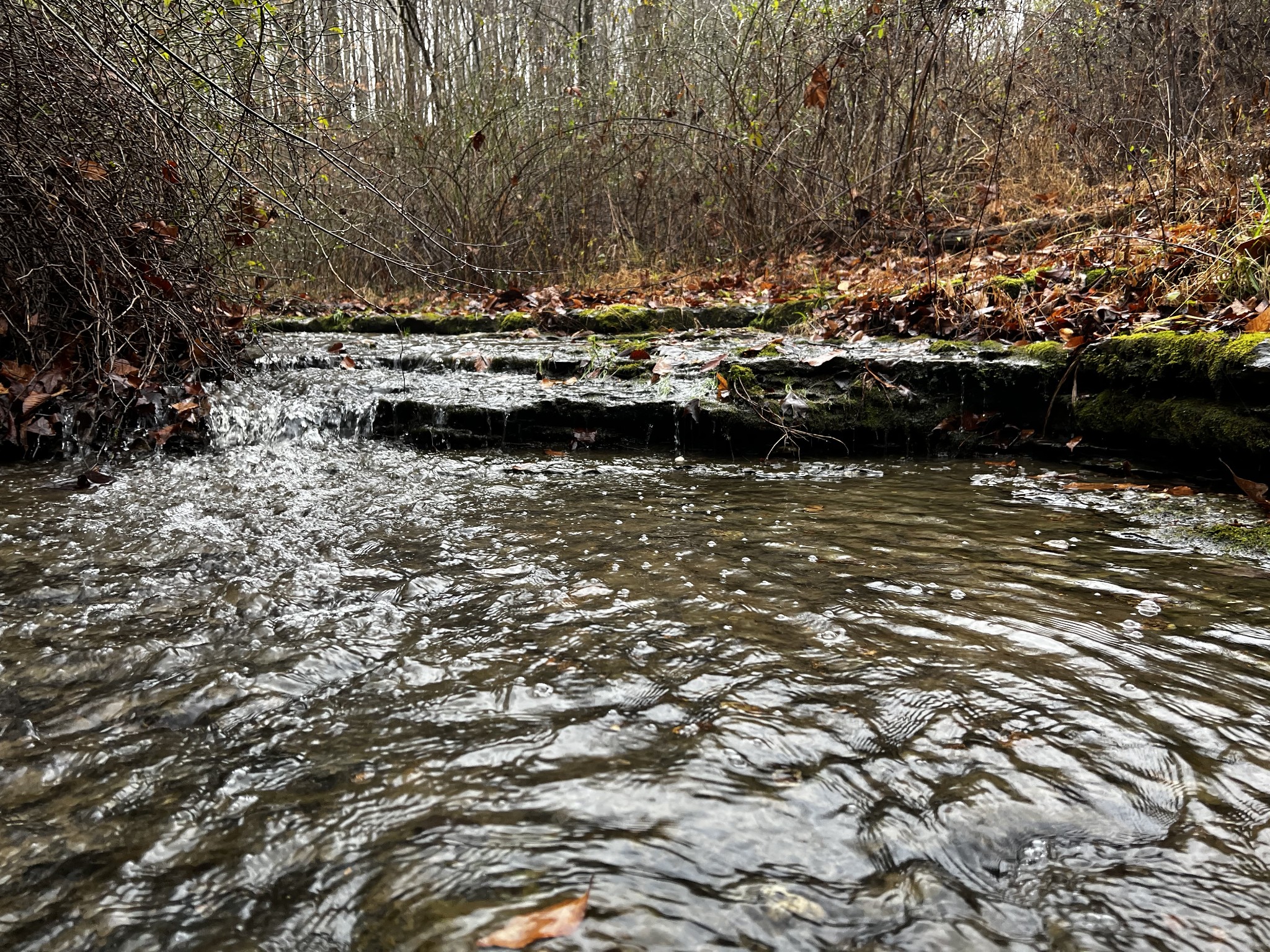 1911 Smalling Road Lafayette, TN 37083 - Photo 35 of 60 a view of ocean