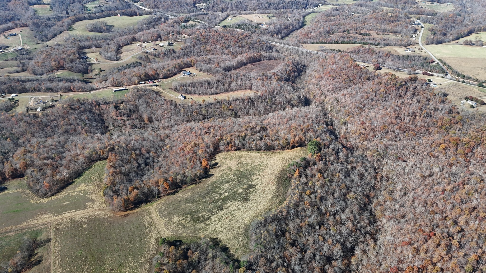 1911 Smalling Road Lafayette, TN 37083 - Photo 41 of 60 a view of a forest with trees