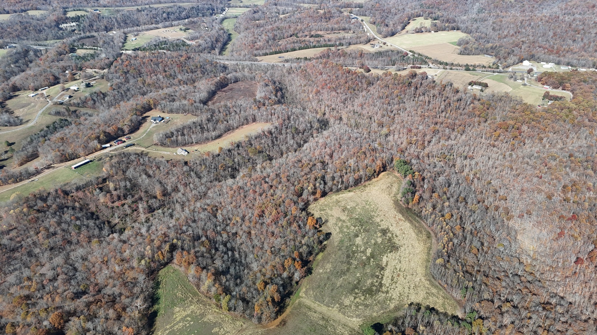 1911 Smalling Road Lafayette, TN 37083 - Photo 43 of 60 a close up of a plant in a forest