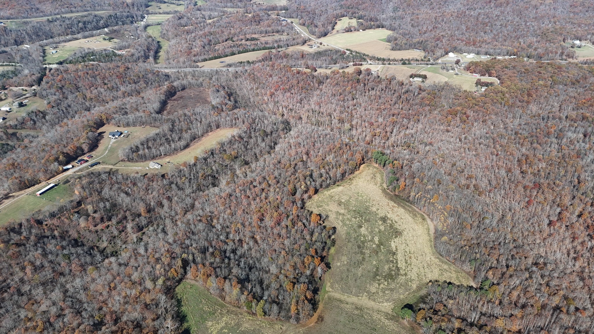 1911 Smalling Road Lafayette, TN 37083 - Photo 44 of 60 a close up of a plant in a forest