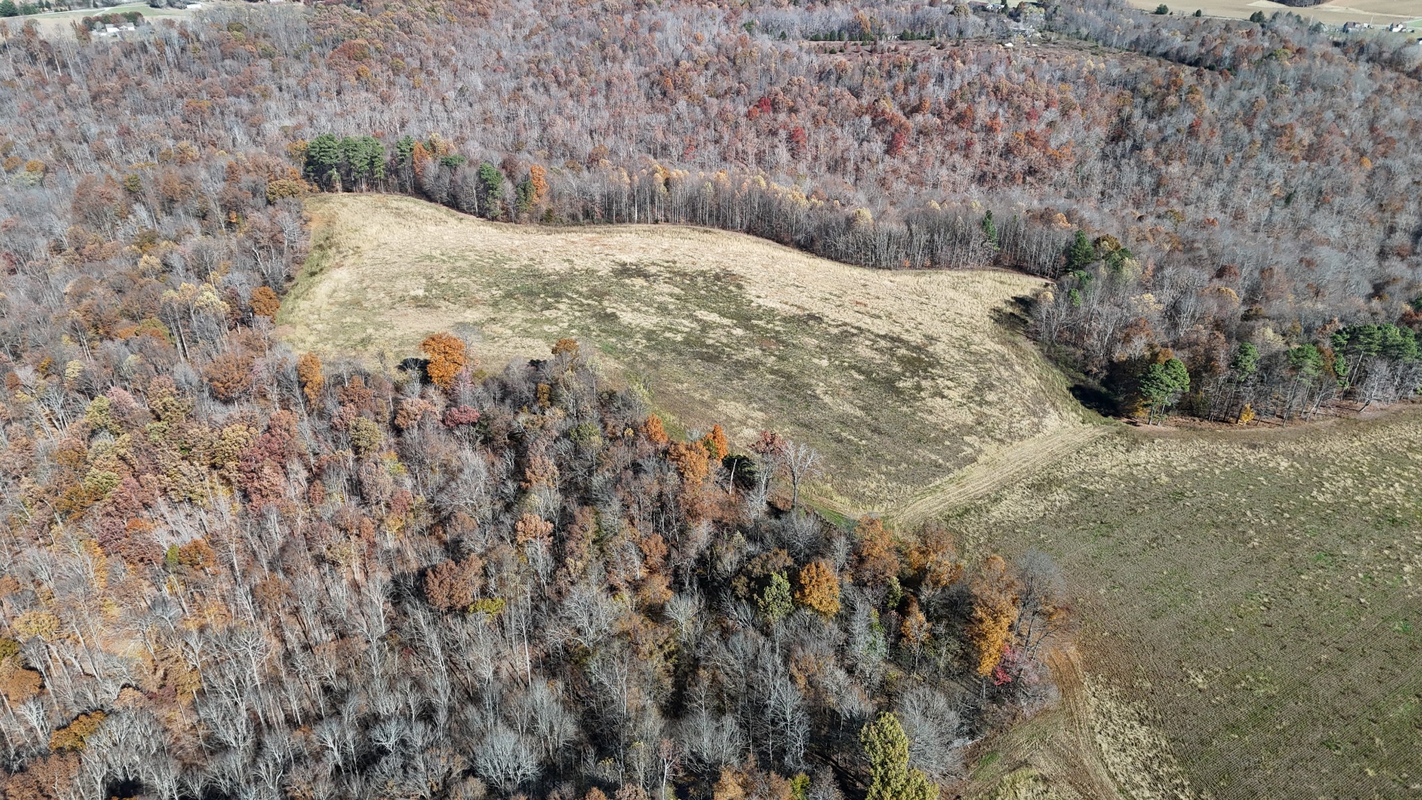 1911 Smalling Road Lafayette, TN 37083 - Photo 48 of 60 a view of a dry yard covered with trees