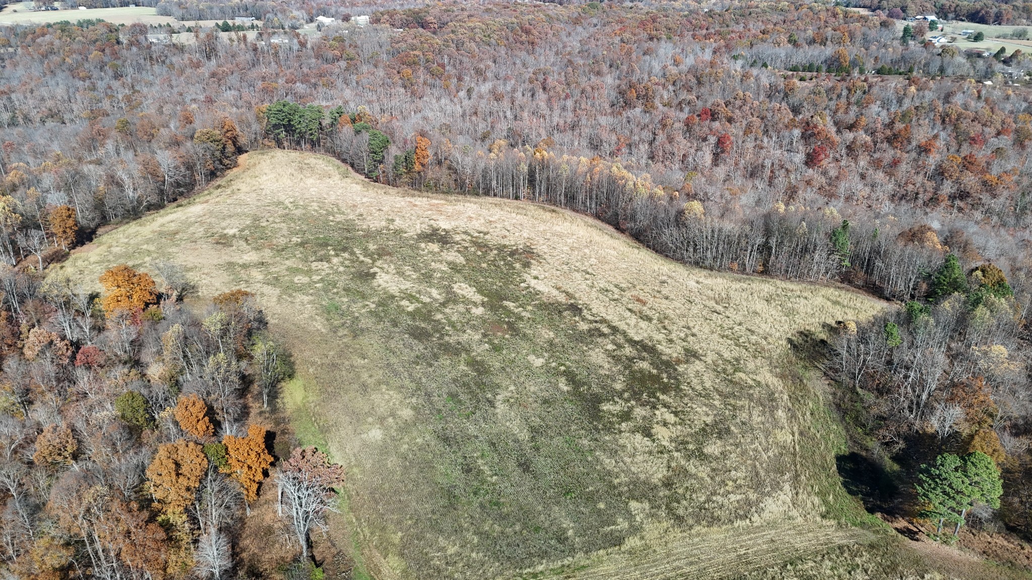 1911 Smalling Road Lafayette, TN 37083 - Photo 49 of 60 a view of a dry yard with trees