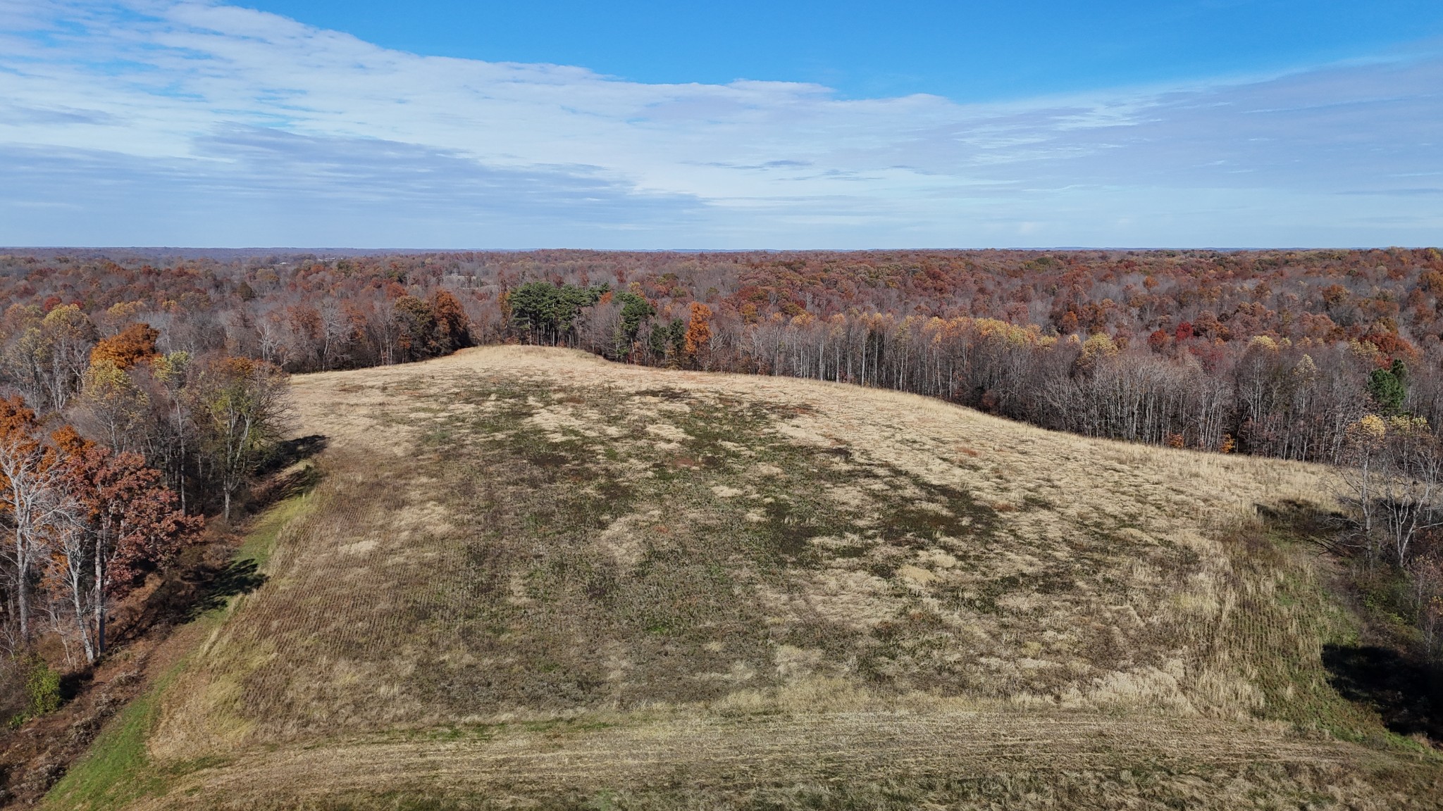 1911 Smalling Road Lafayette, TN 37083 - Photo 50 of 60 a view of a dry yard