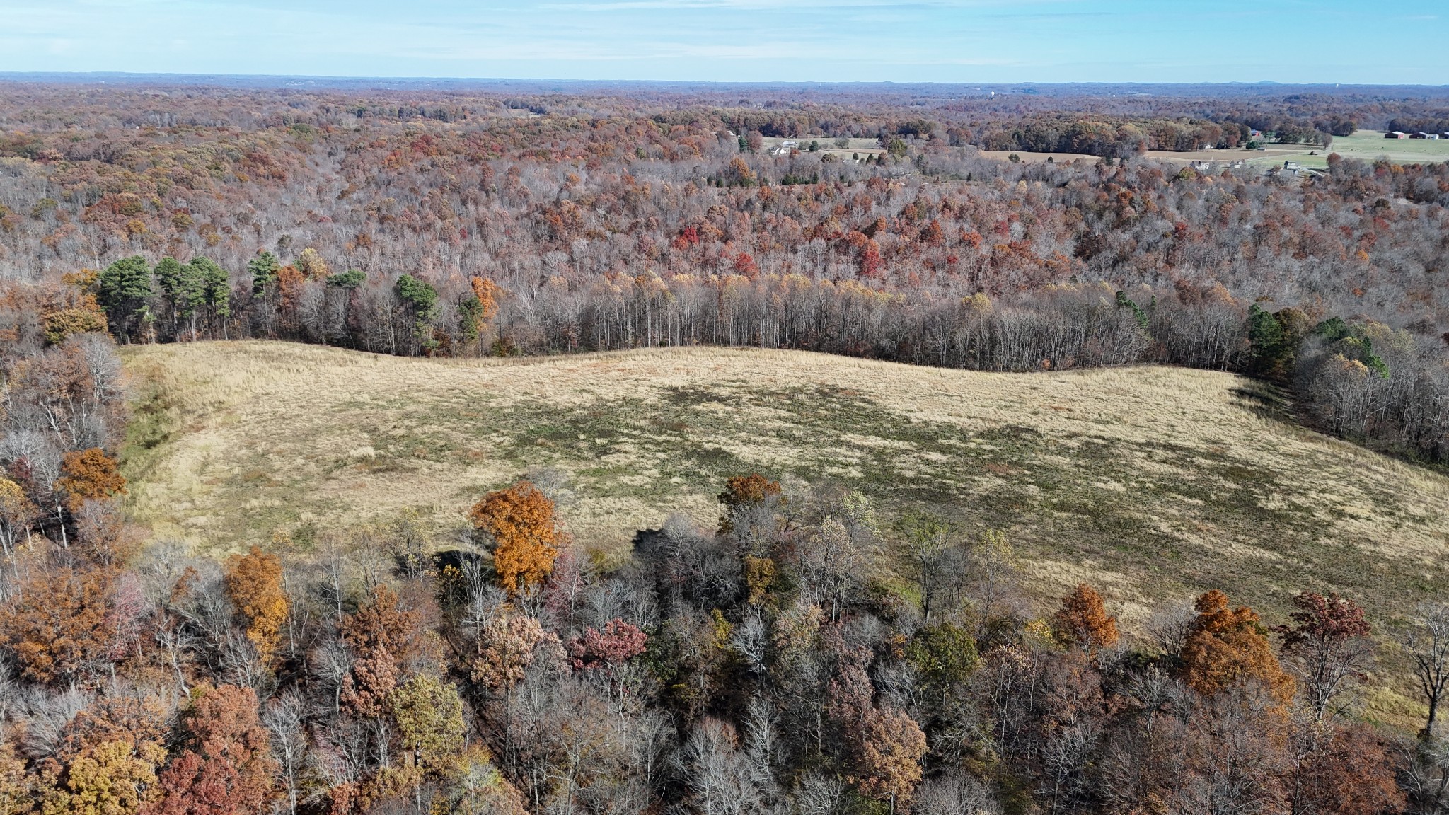1911 Smalling Road Lafayette, TN 37083 - Photo 51 of 60 a view of a yard