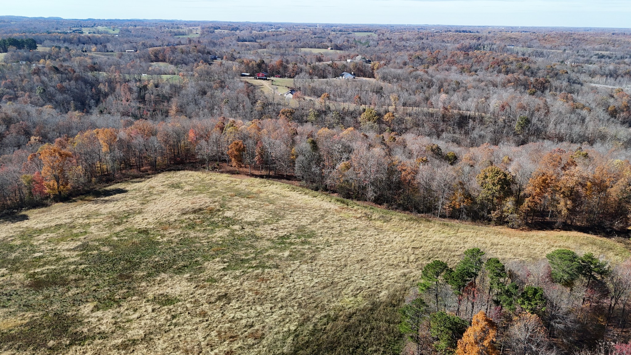 1911 Smalling Road Lafayette, TN 37083 - Photo 52 of 60 a view of a dry yard