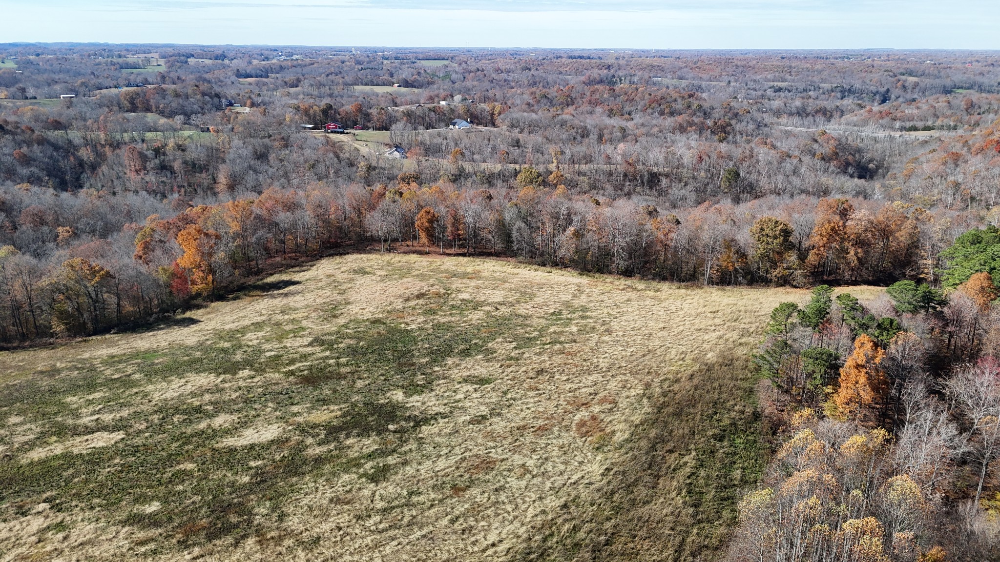 1911 Smalling Road Lafayette, TN 37083 - Photo 54 of 60 a view of a dry yard