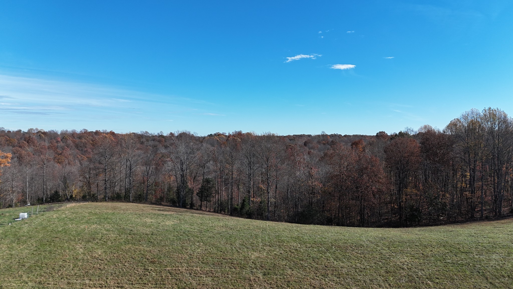 1911 Smalling Road Lafayette, TN 37083 - Photo 56 of 60 a view of a yard