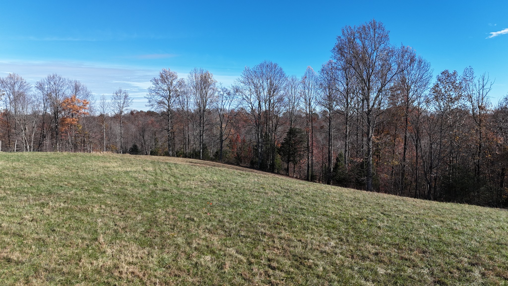 1911 Smalling Road Lafayette, TN 37083 - Photo 59 of 60 a view of a backyard