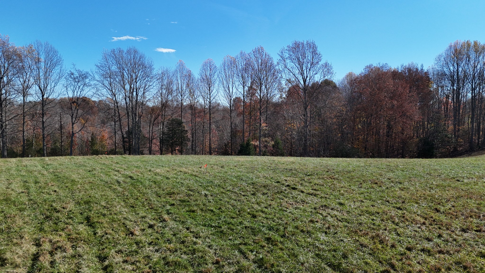 1911 Smalling Road Lafayette, TN 37083 - Photo 60 of 60 a view of a yard