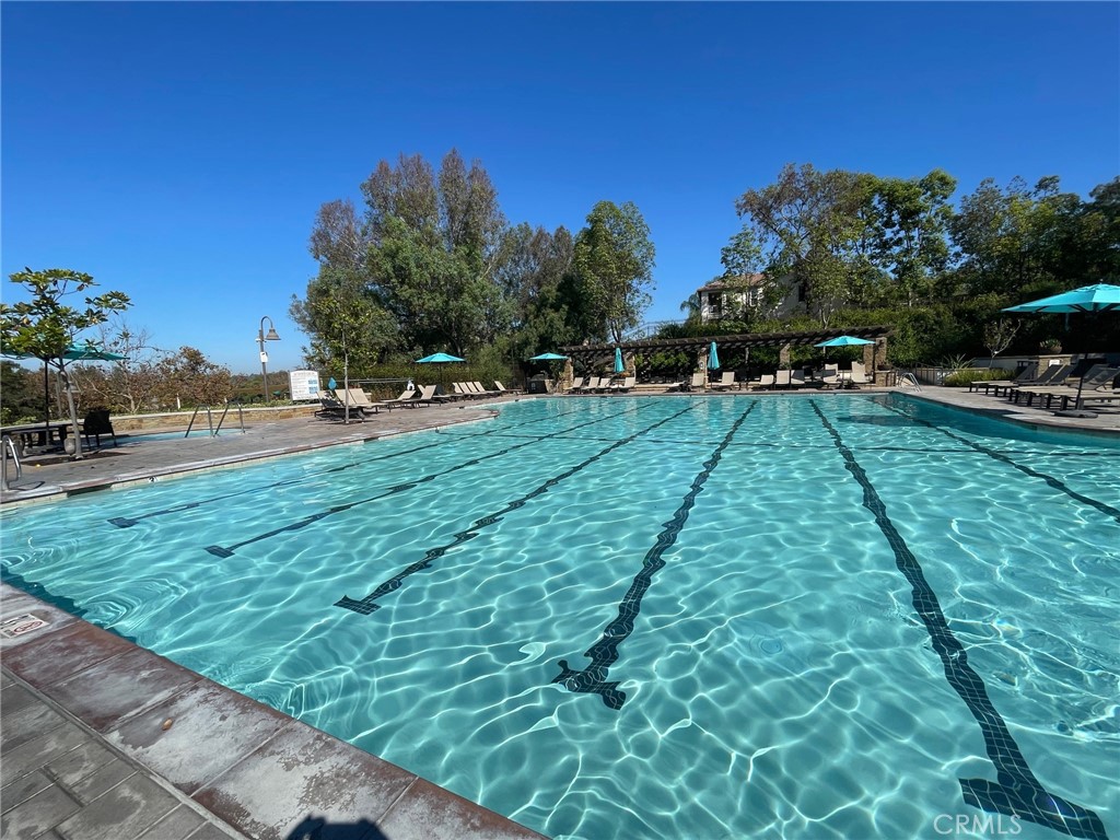 3 Sunny Slope Rancho Santa Margarita, CA 92688 - Photo 33 of 38 Lap Pool and Free Swim