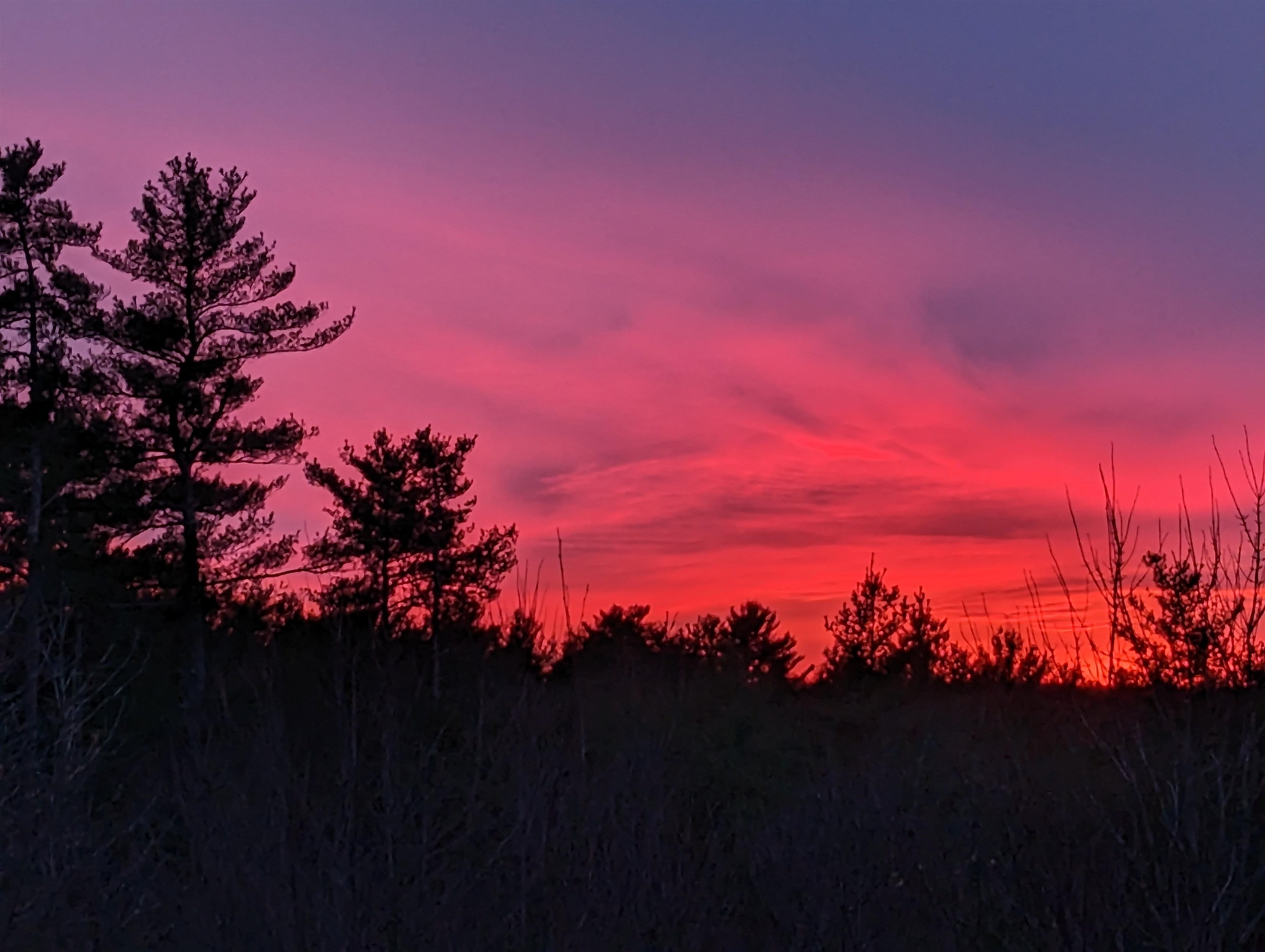 68 New Rye Road Epsom, NH 03234 - Photo 6 of 46