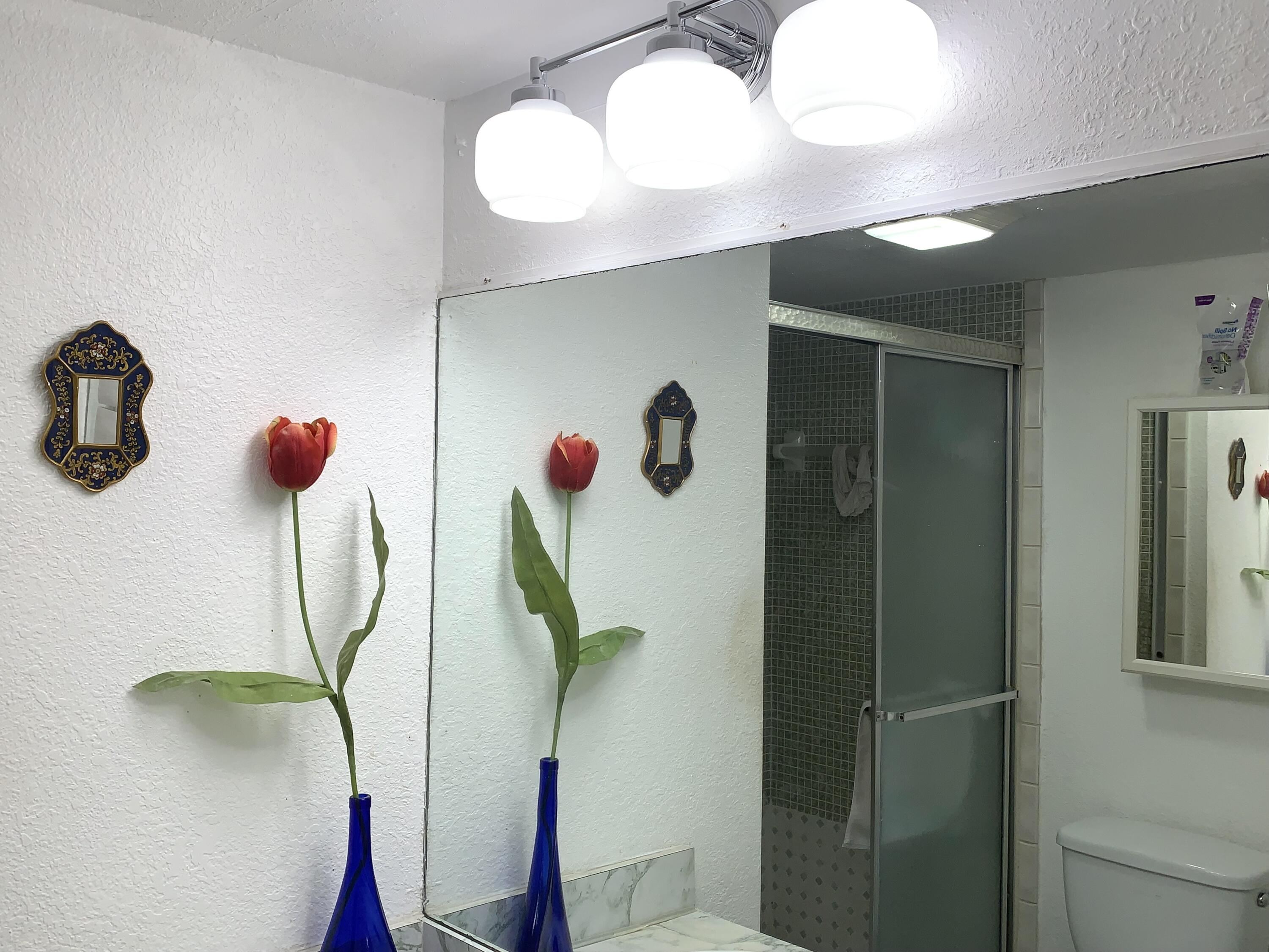 2801 North Pine Island Road, Unit 110 Sunrise, FL 33322 - Photo 15 of 26 IMG_2900 Bagno M