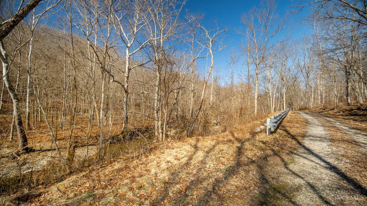 0 Flaugher Road Ripley, OH 45167 - Photo 11 of 13
