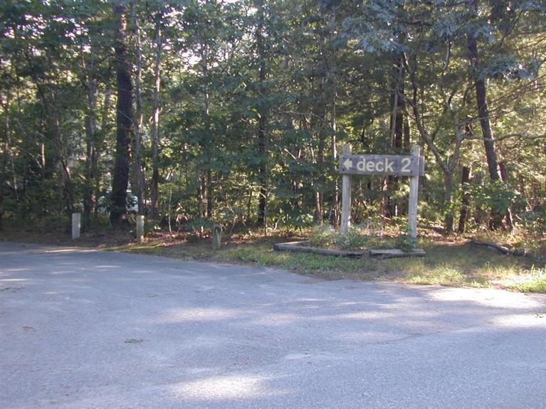 106 Cottontail Road, Unit A3 Wellfleet, MA 02667 - Photo 11 of 14 a view of a yard with a tree