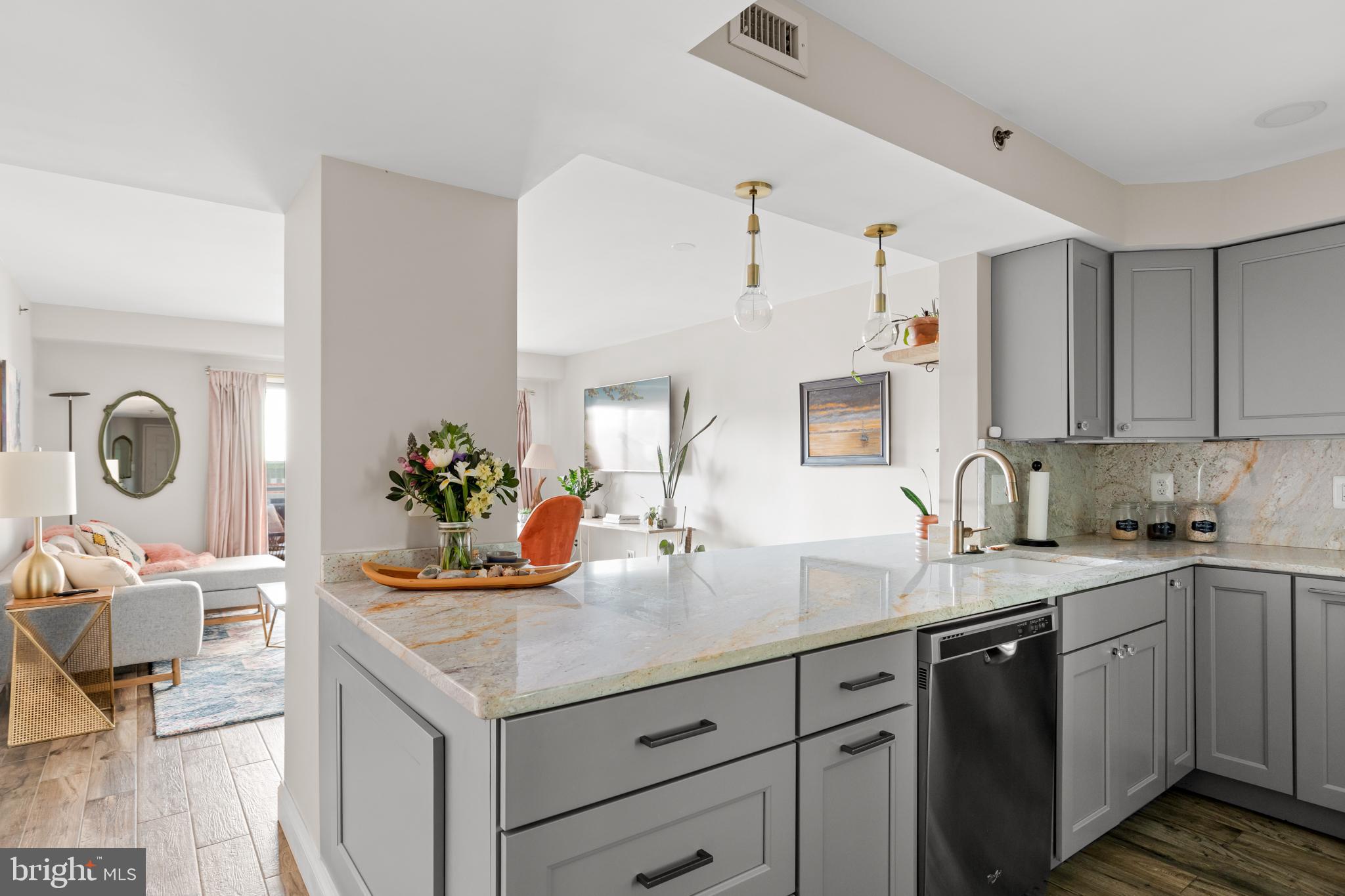 545 East Braddock Road, Unit 206 Alexandria, VA 22314 - Photo 2 of 29 $46k in Renovations/Upgrades!