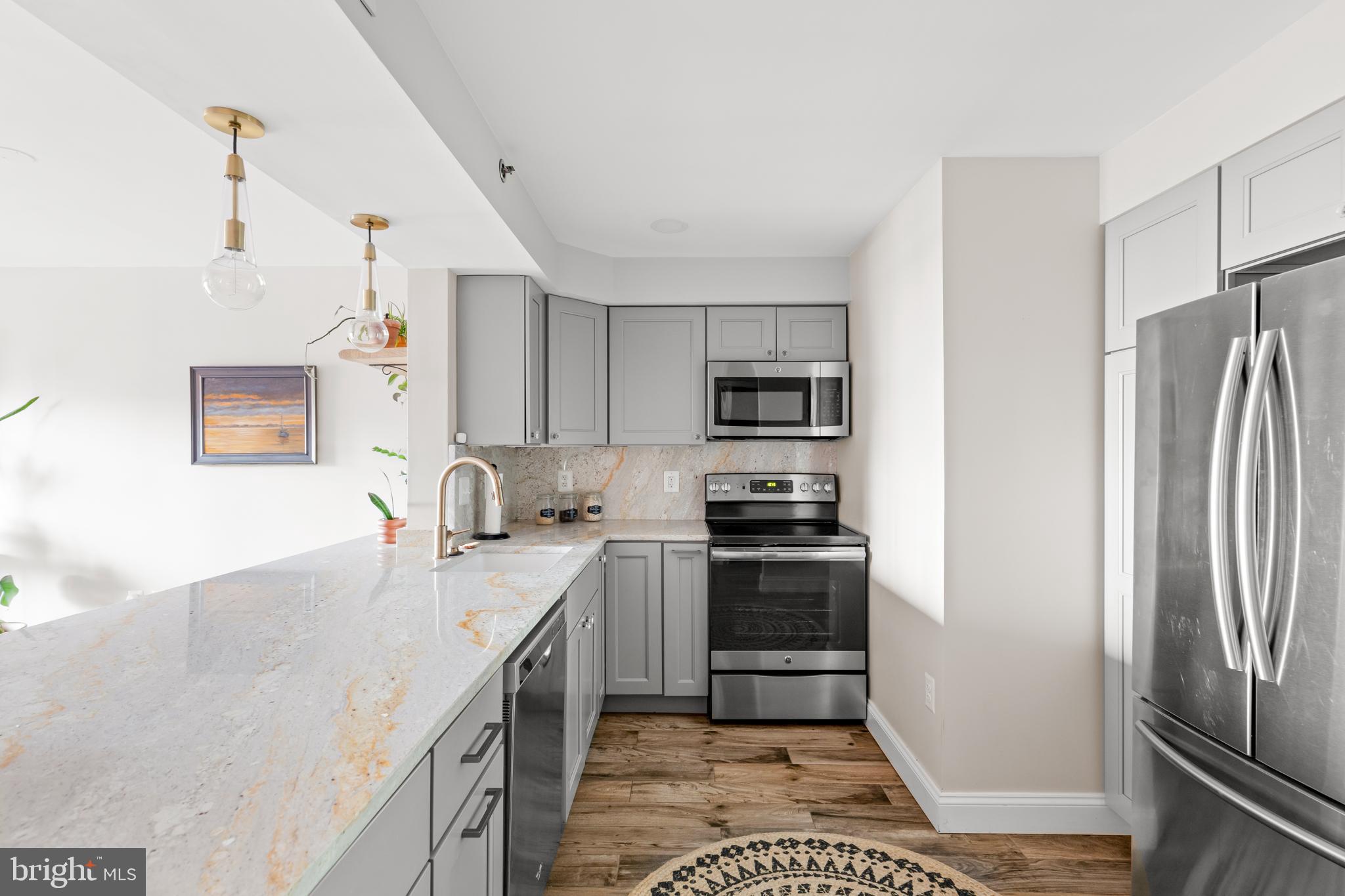 545 East Braddock Road, Unit 206 Alexandria, VA 22314 - Photo 3 of 29 Beautiful & Expansive Granite Countertops