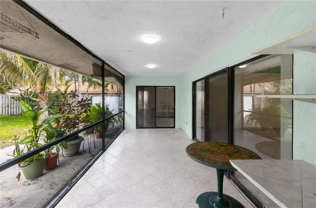 a view of a garden with palm tree