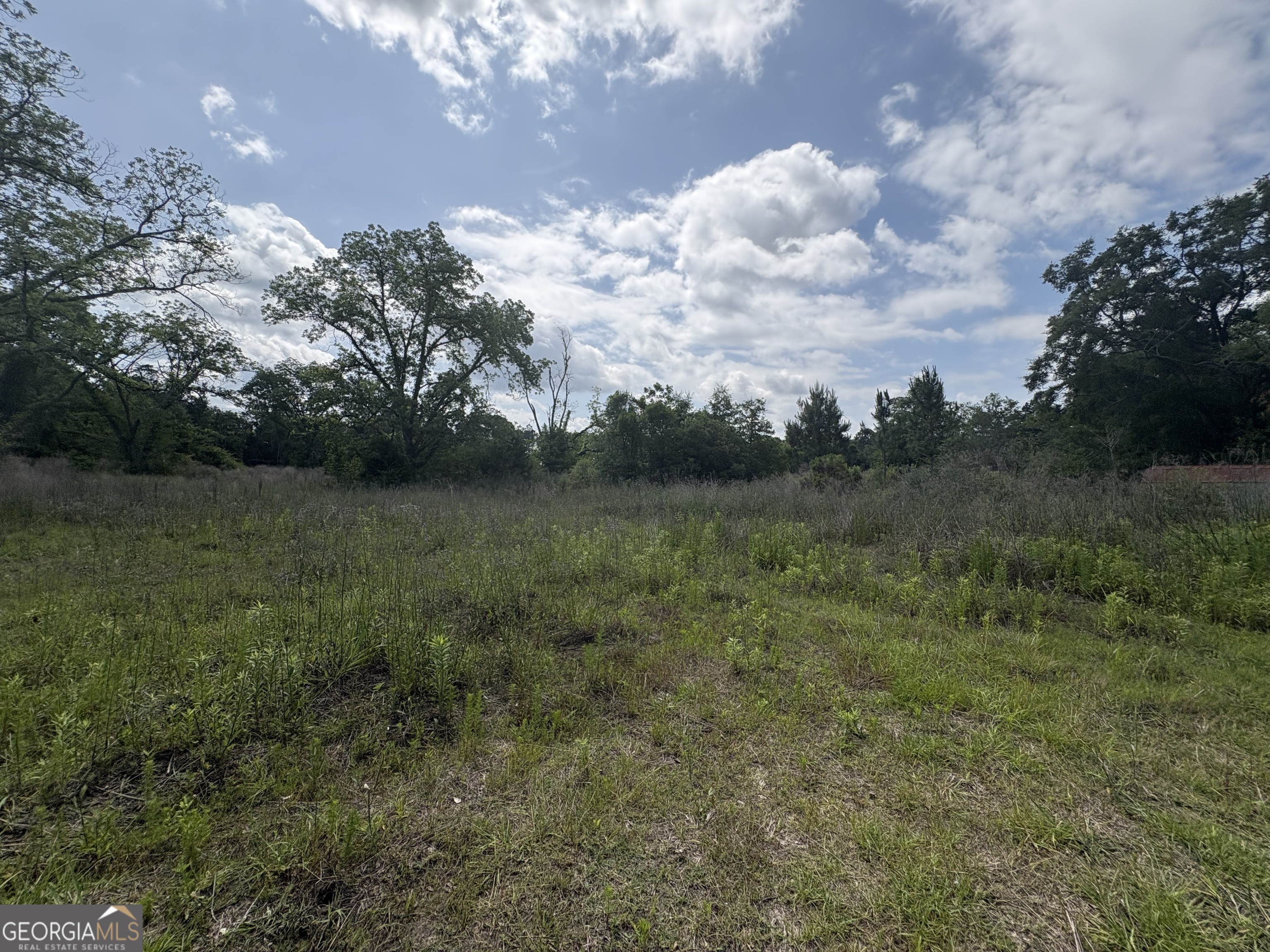 0 East Road Fitzgerald, GA 31750 - Photo 2 of 3