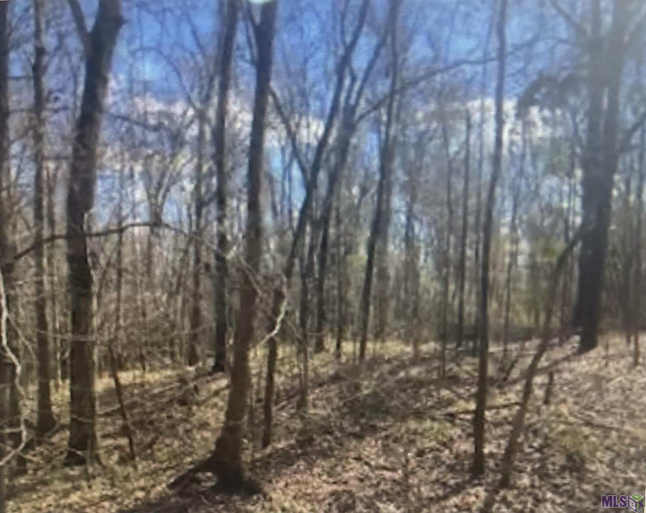 0 Turkey Creek Road Natchez, MS 39120 - Photo 4 of 4 Gallery Image 4