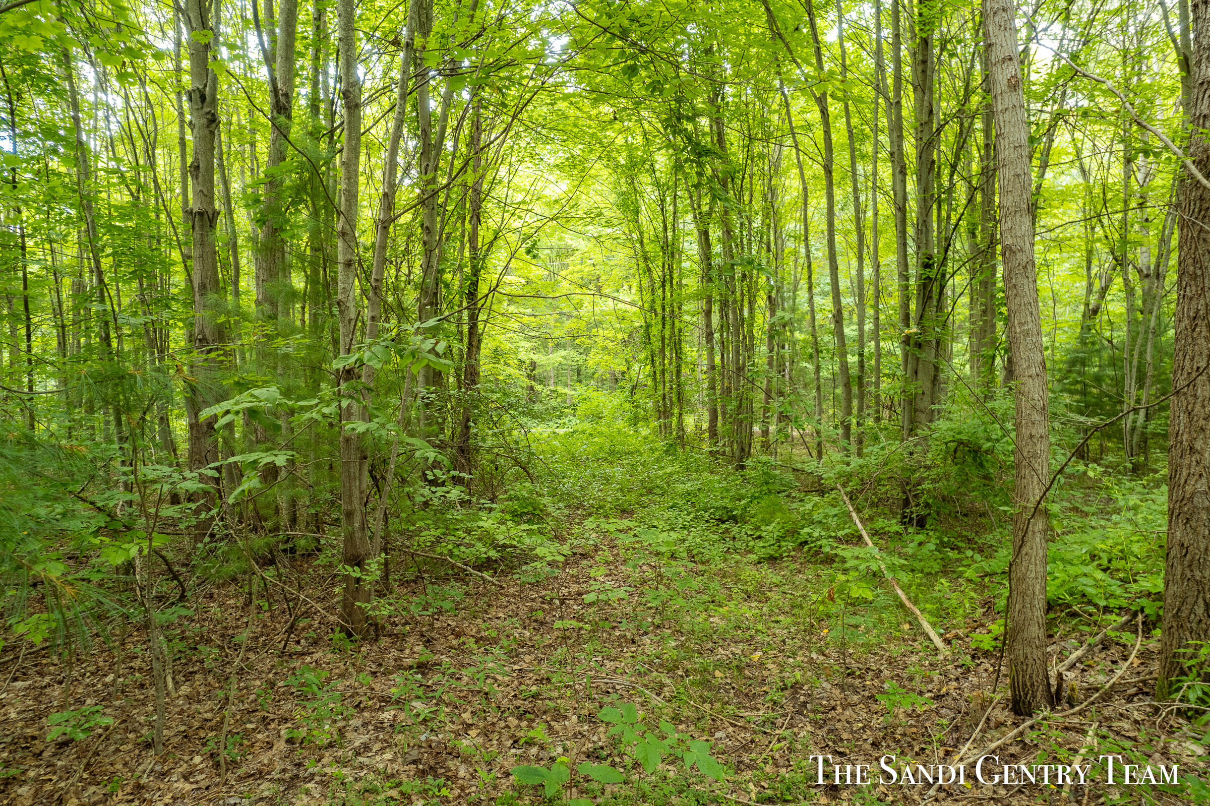 0 Hidden Cove Road Fruitport, MI 49415 - Photo 29 of 37 DJI_0492 2-HDR