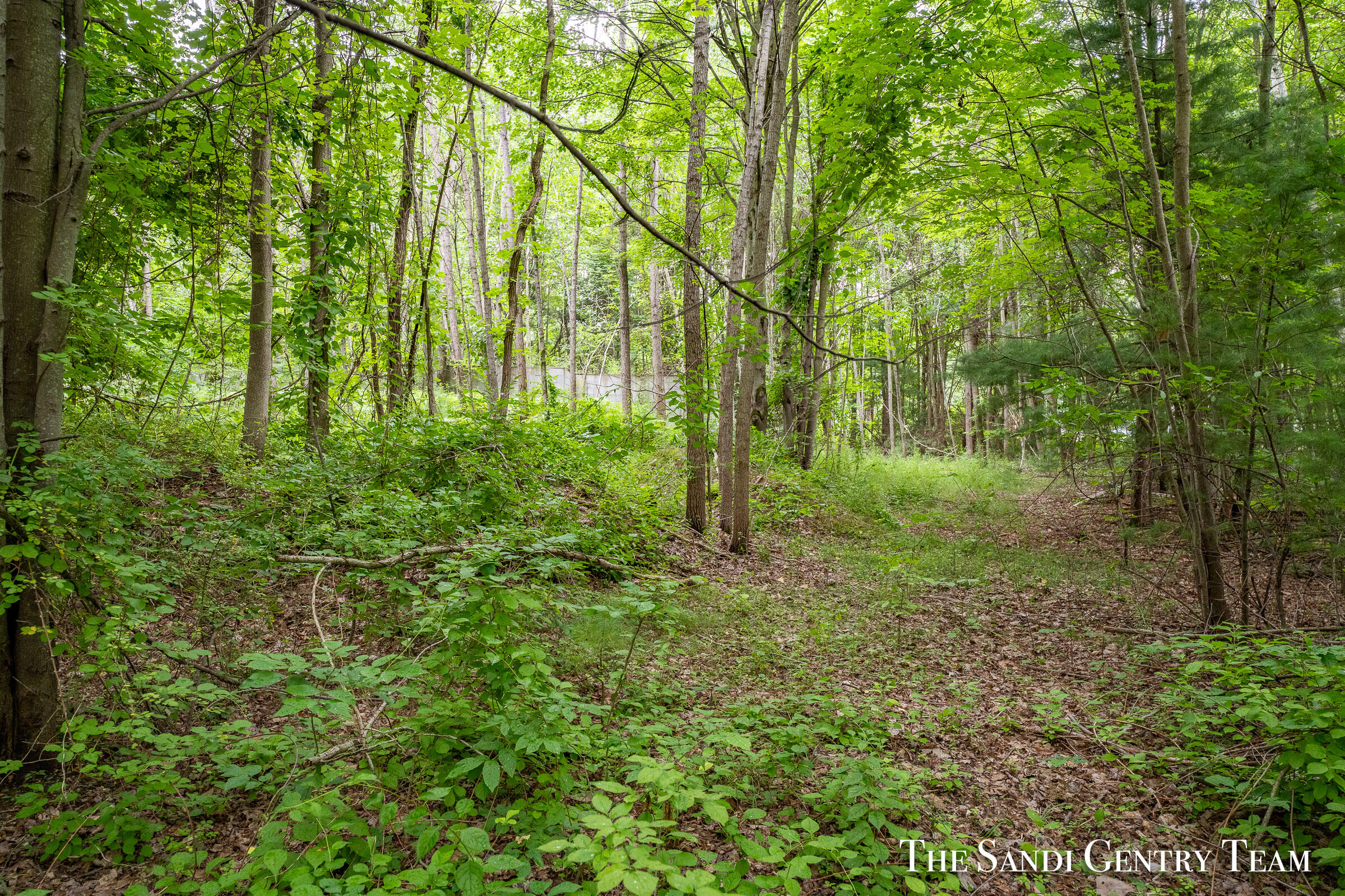 0 Hidden Cove Road Fruitport, MI 49415 - Photo 5 of 37 AIV00331-HDR