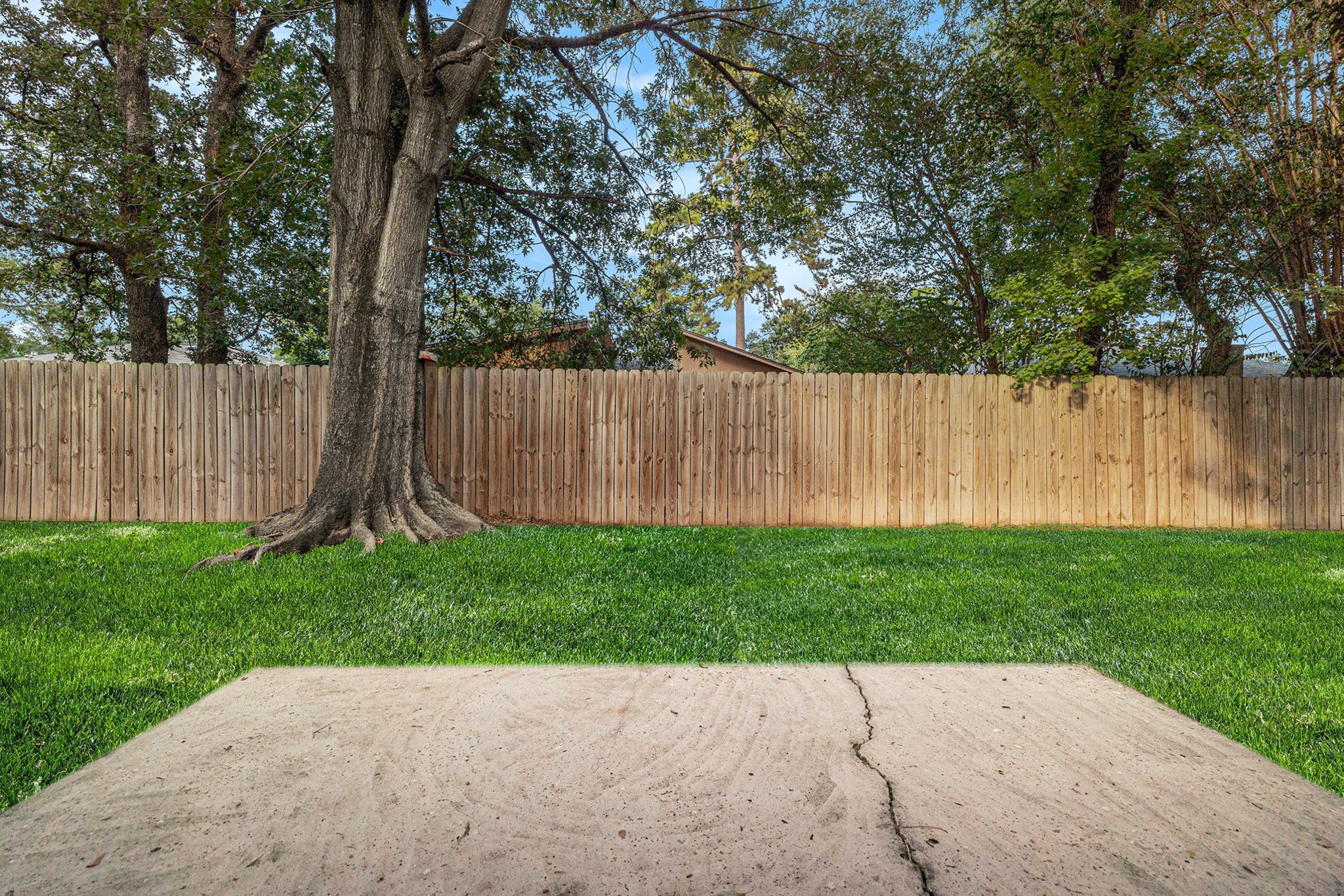 29118 Raestone Street Spring, TX 77386 - Photo 19 of 21 a view of backyard with a barn and large trees
