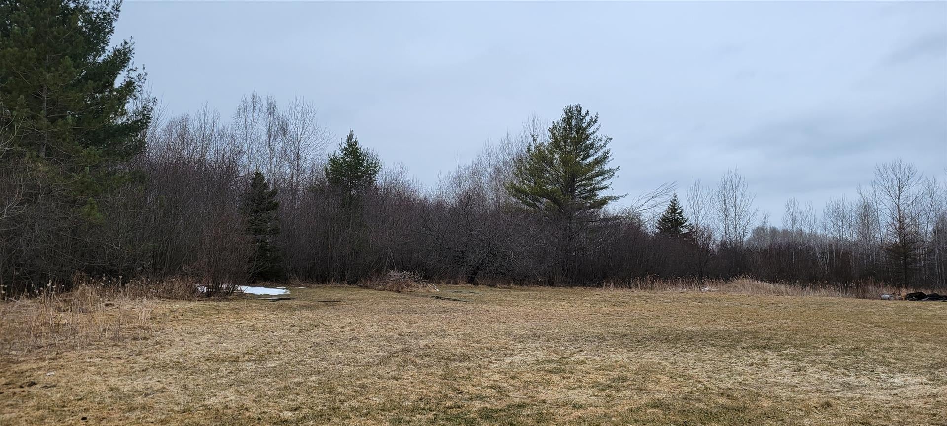 7287 Trudeau Road Cheboygan, MI 49721 - Photo 11 of 11 Gallery Image 11