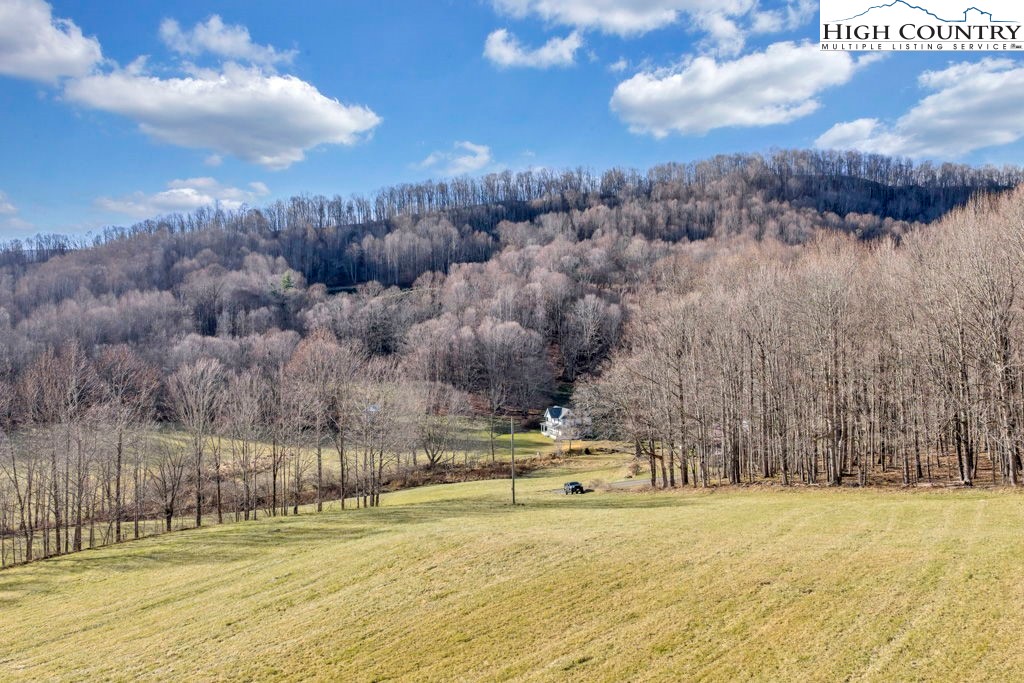 Old Buffalo Trail Boone, NC 28607 - Photo 4 of 13 Gallery Image 4