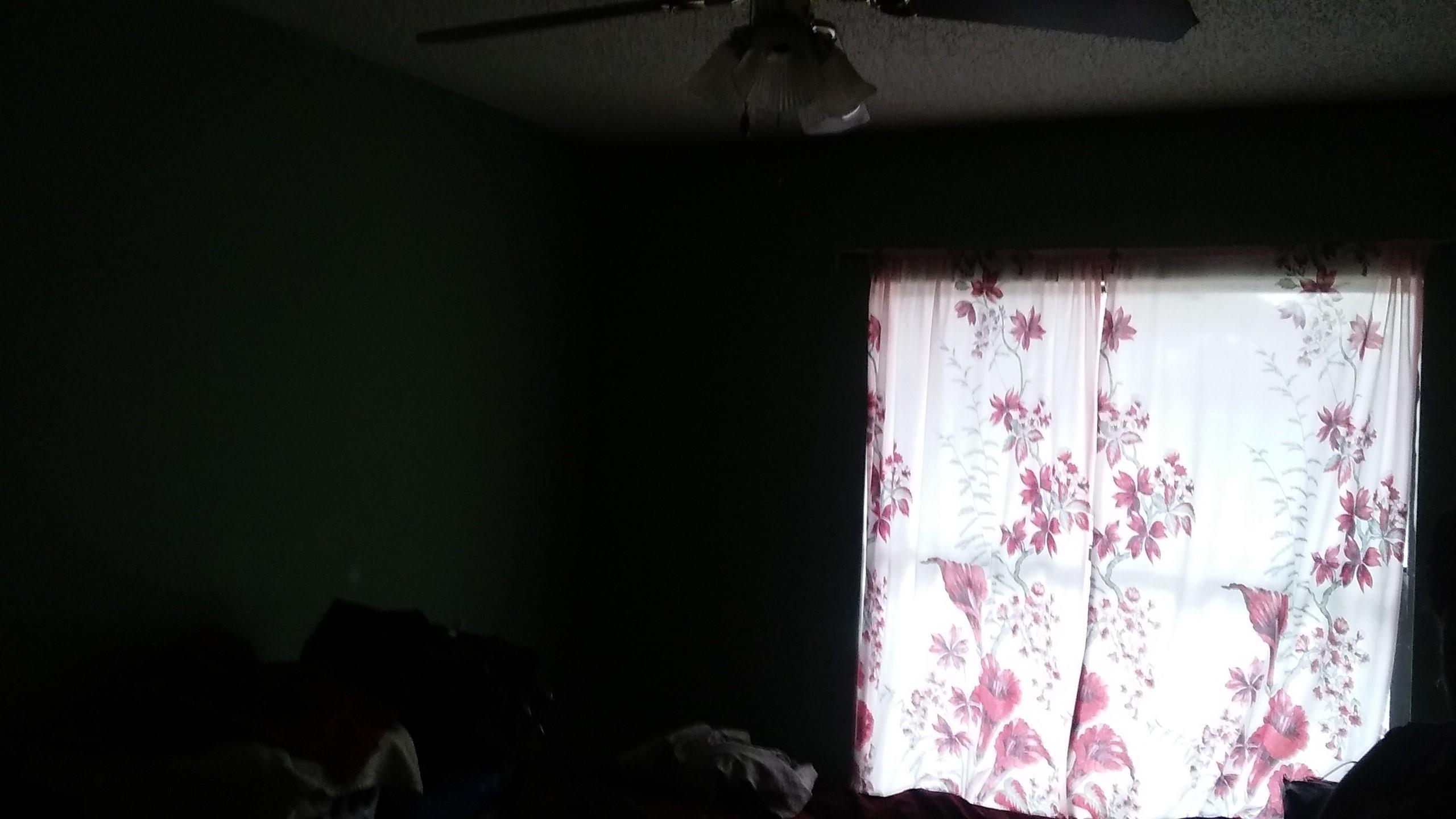 3532 North Dixie Highway Boca Raton, FL 33431 - Photo 5 of 5 3532ceiling fan