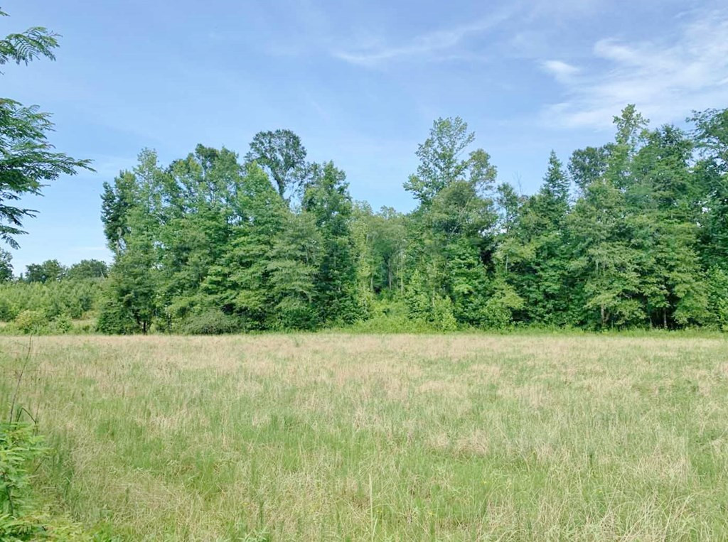 3000 Stonington Road Lorman, MS 39096 - Photo 10 of 38 Photo 10