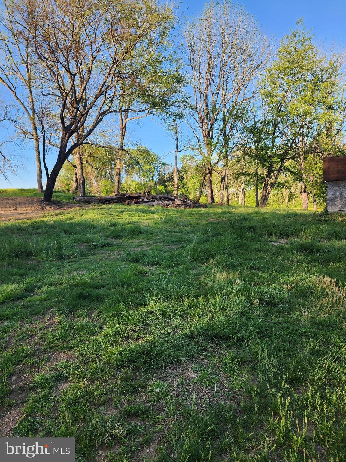 466 Kirks Mill Road Nottingham, PA 19362 - Photo 25 of 28 a view of backyard with tree