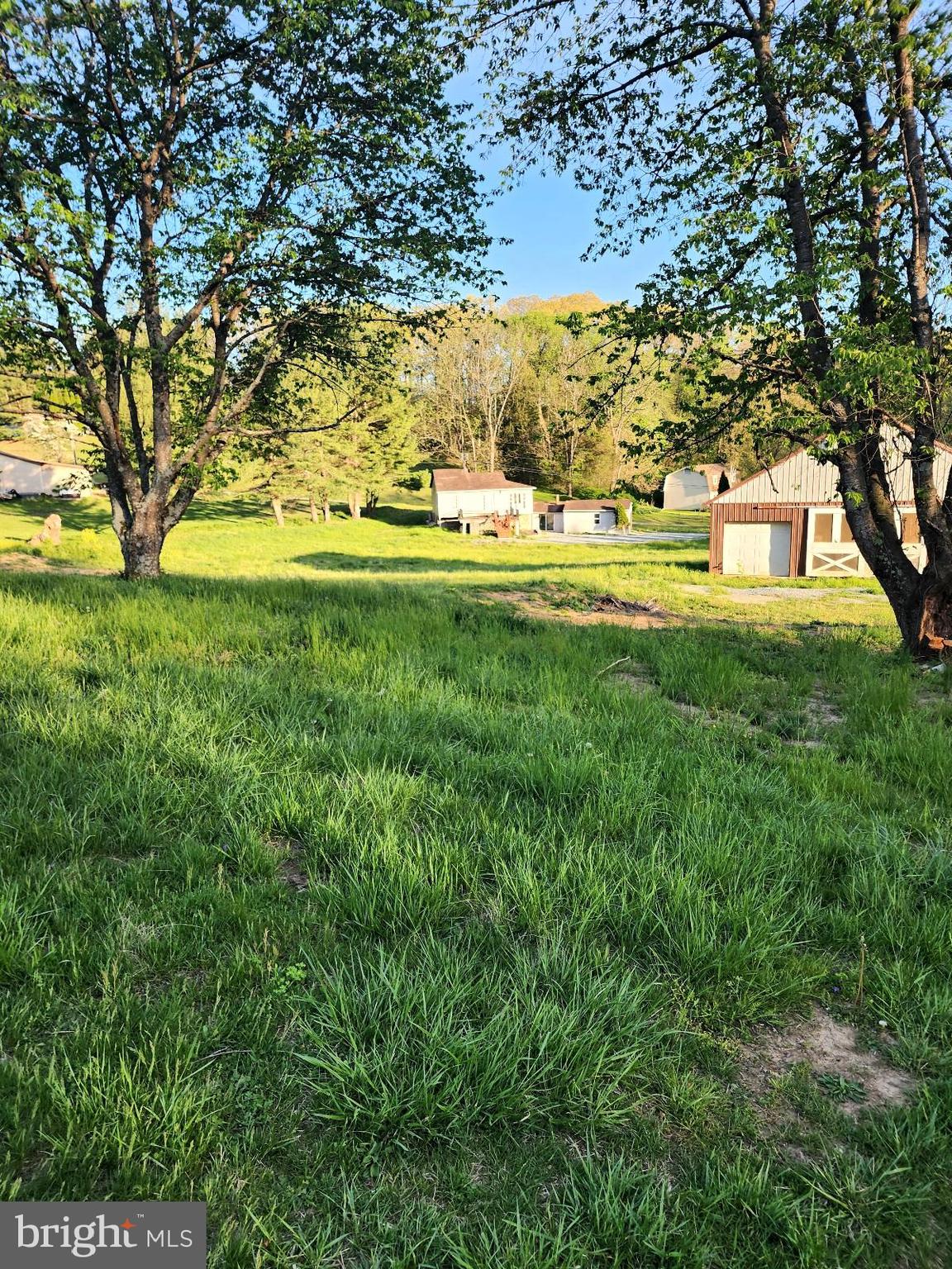 466 Kirks Mill Road Nottingham, PA 19362 - Photo 4 of 28 a view of yard with green space and trees
