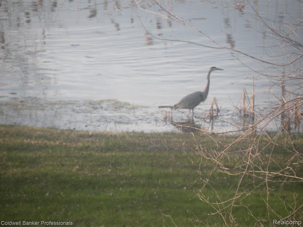 6253 7 Mile Road South Lyon, MI 48178 - Photo 56 of 72 Gallery Image 56