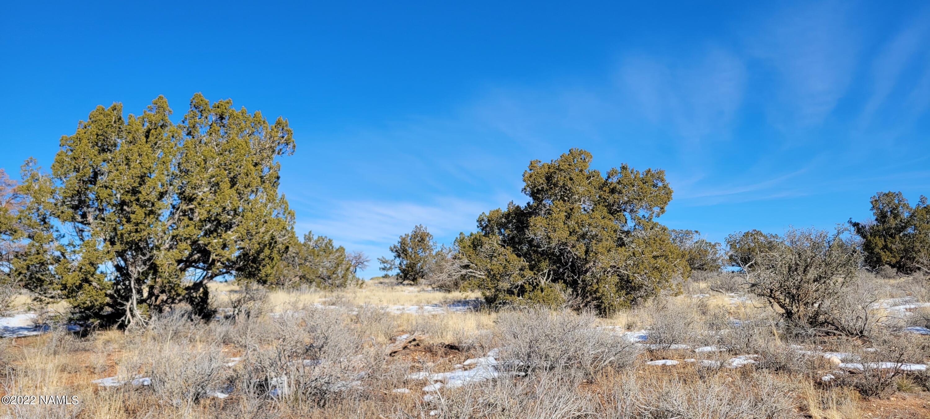 2619 East Woodland Ranch Road Williams, AZ 86046 - Photo 1 of 39 Property Main Image