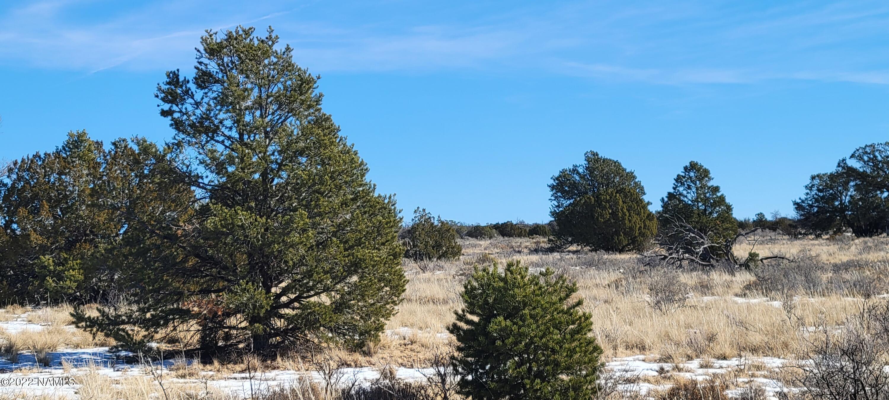 2619 East Woodland Ranch Road Williams, AZ 86046 - Photo 17 of 39 20221221_123951