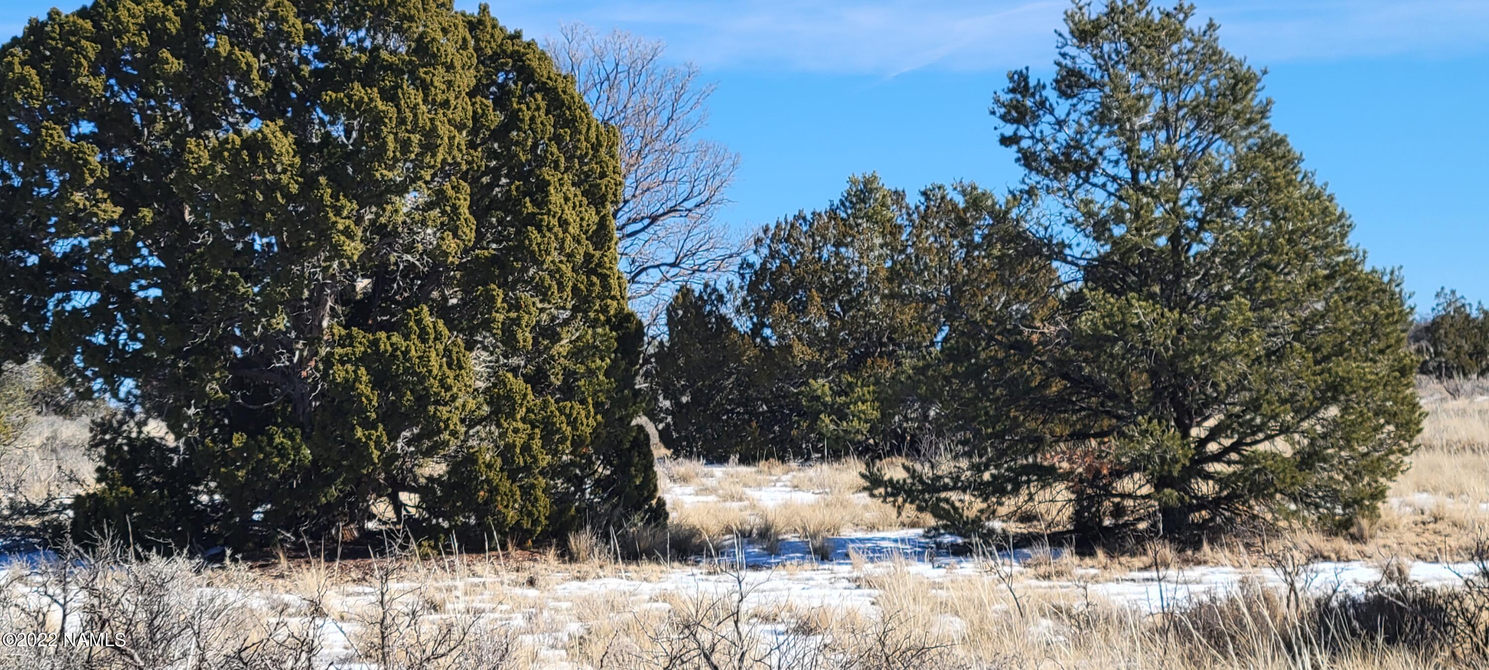 2619 East Woodland Ranch Road Williams, AZ 86046 - Photo 18 of 39 20221221_123954
