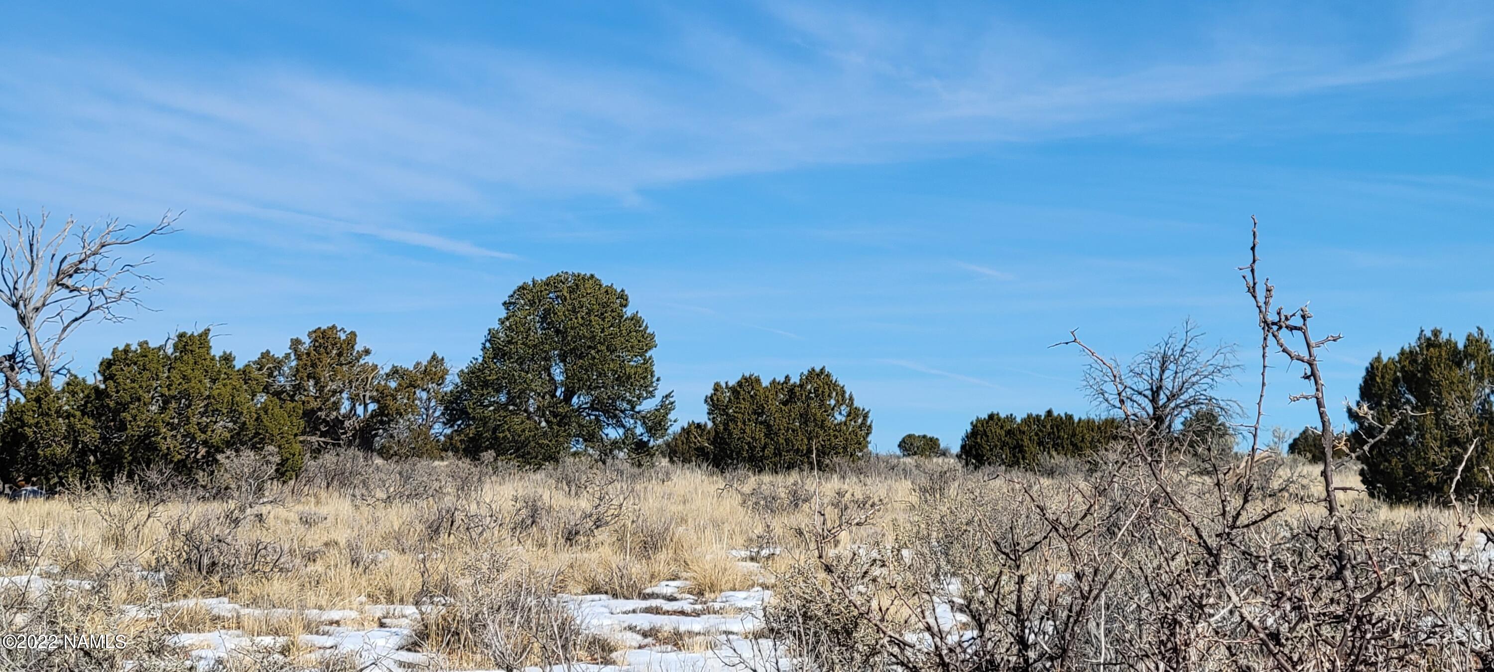 2619 East Woodland Ranch Road Williams, AZ 86046 - Photo 24 of 39 20221221_124315