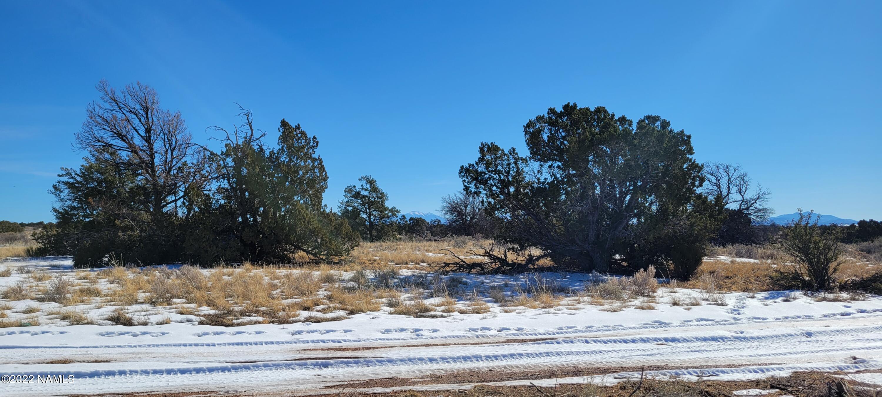 2619 East Woodland Ranch Road Williams, AZ 86046 - Photo 34 of 39 20221221_123727