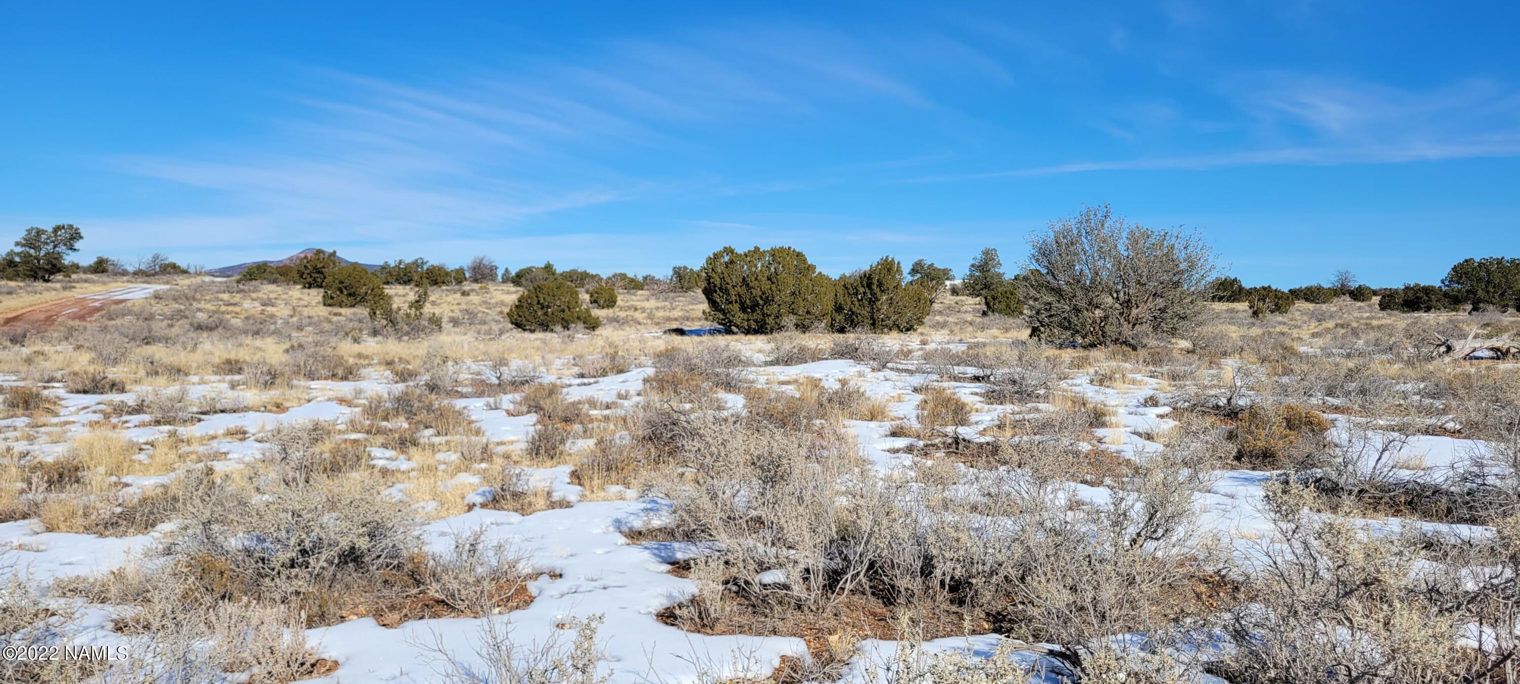 2619 East Woodland Ranch Road Williams, AZ 86046 - Photo 8 of 39 20221221_123002